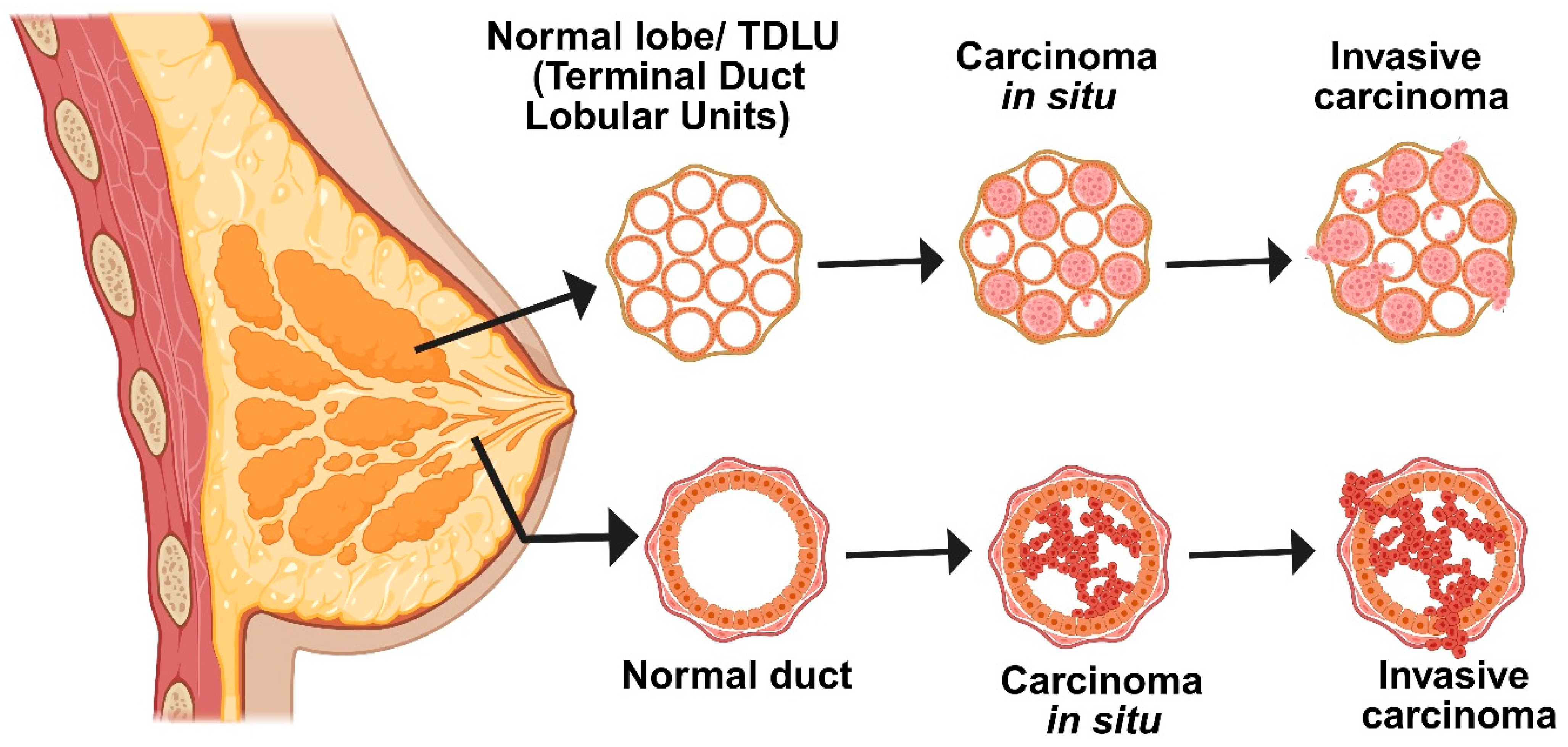 Medsci 13 00275 g001 Medsci 13 00275 g001