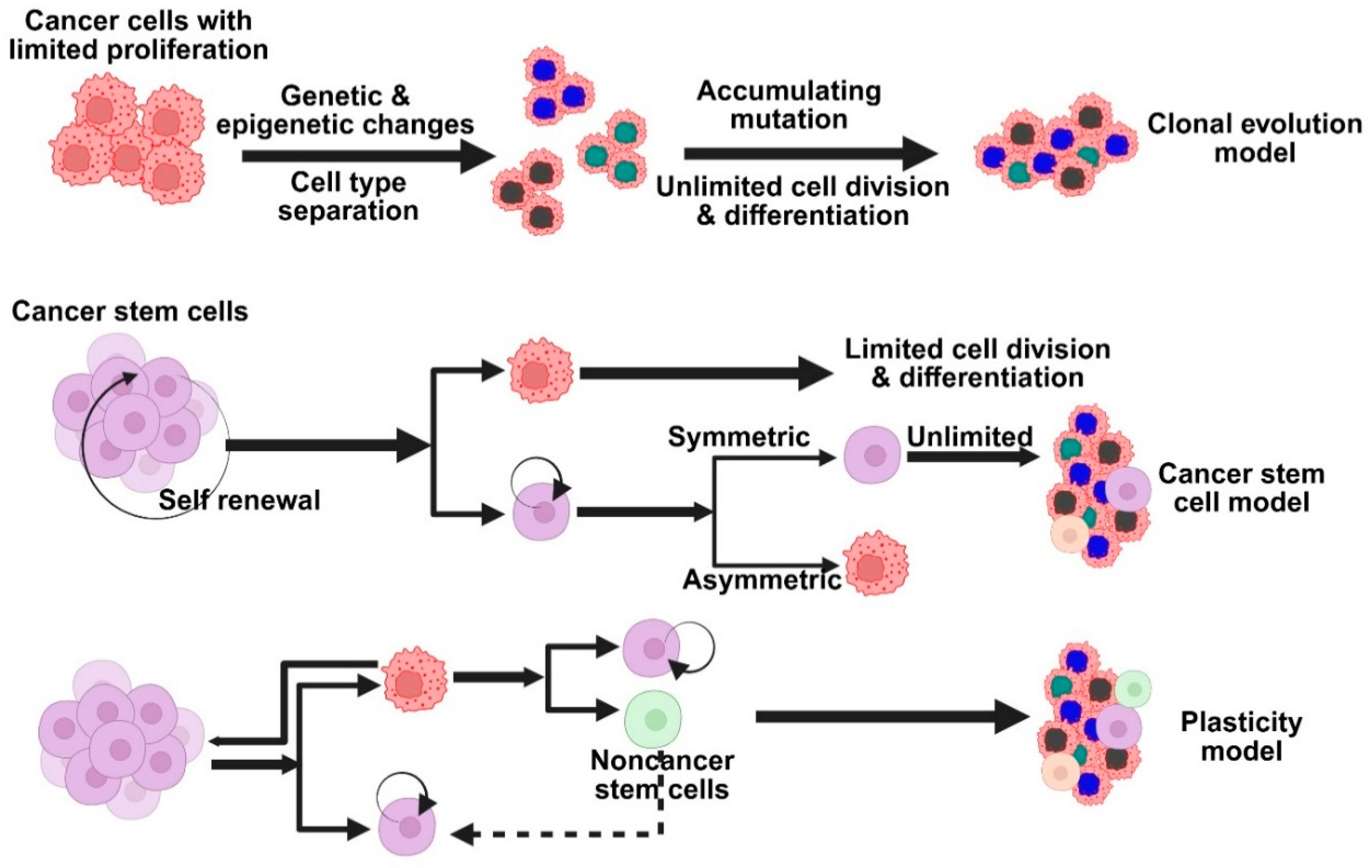 Medsci 13 00275 g002 Medsci 13 00275 g002