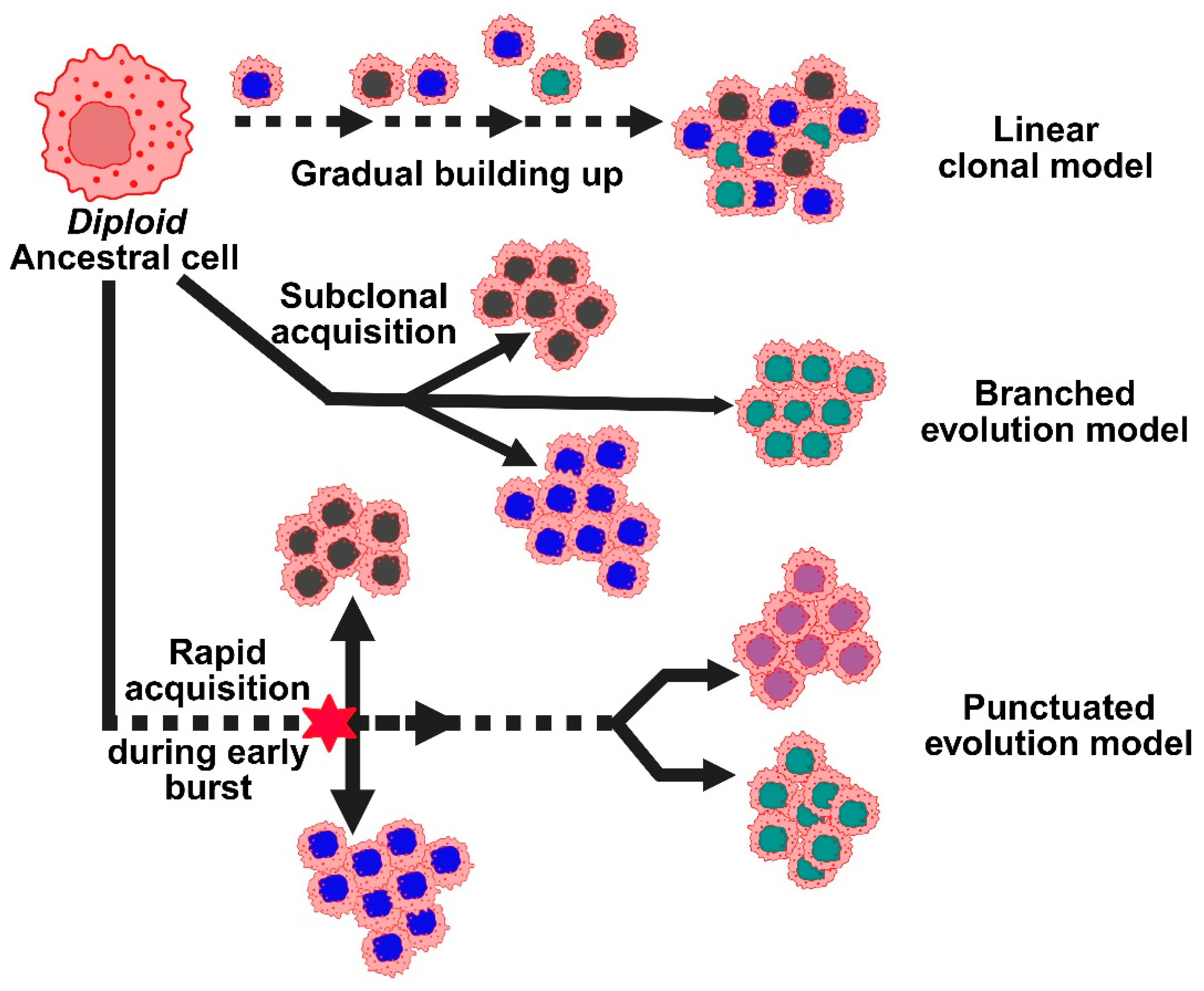 Medsci 13 00275 g003 Medsci 13 00275 g003