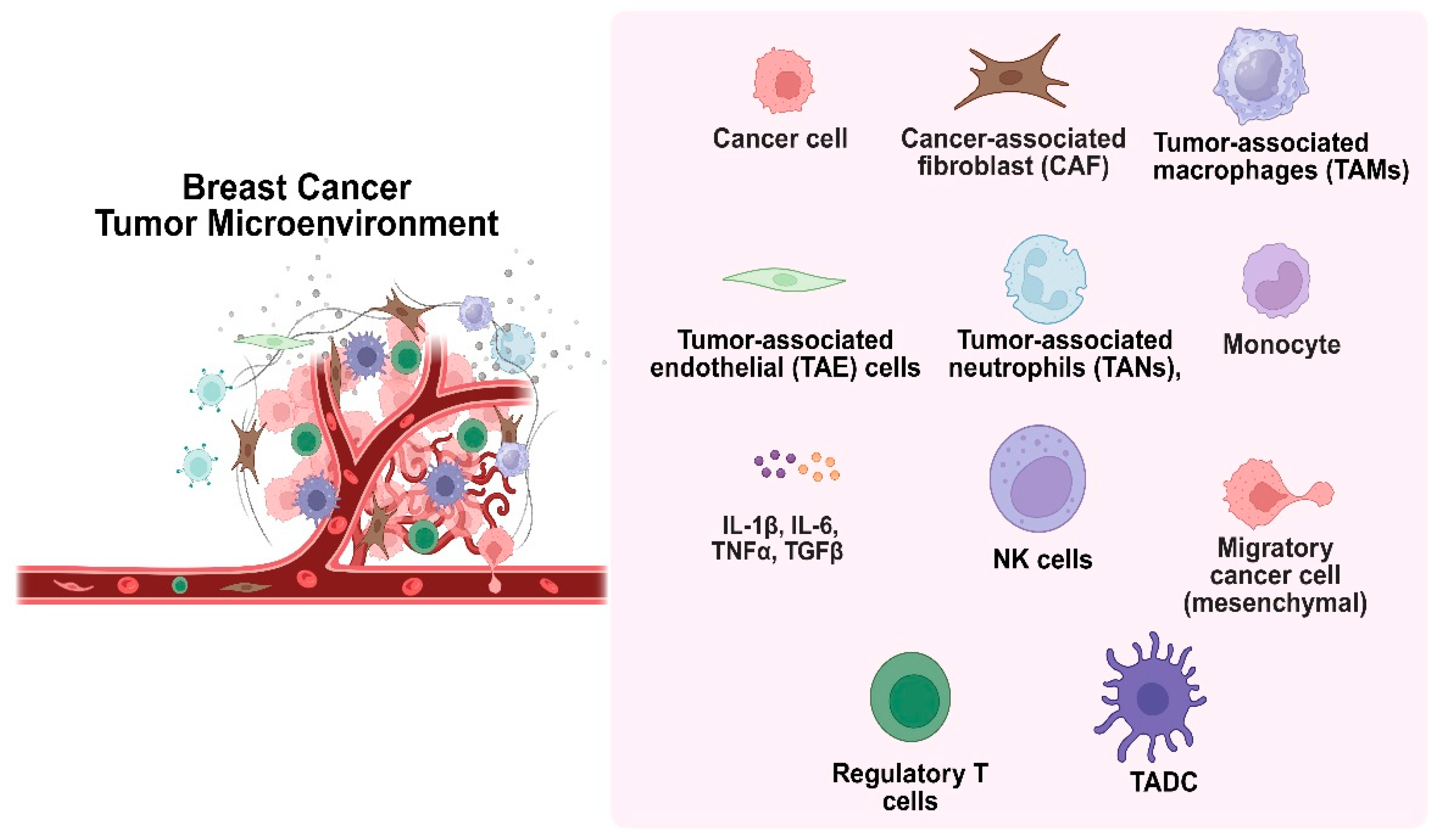 Medsci 13 00275 g004 Medsci 13 00275 g004