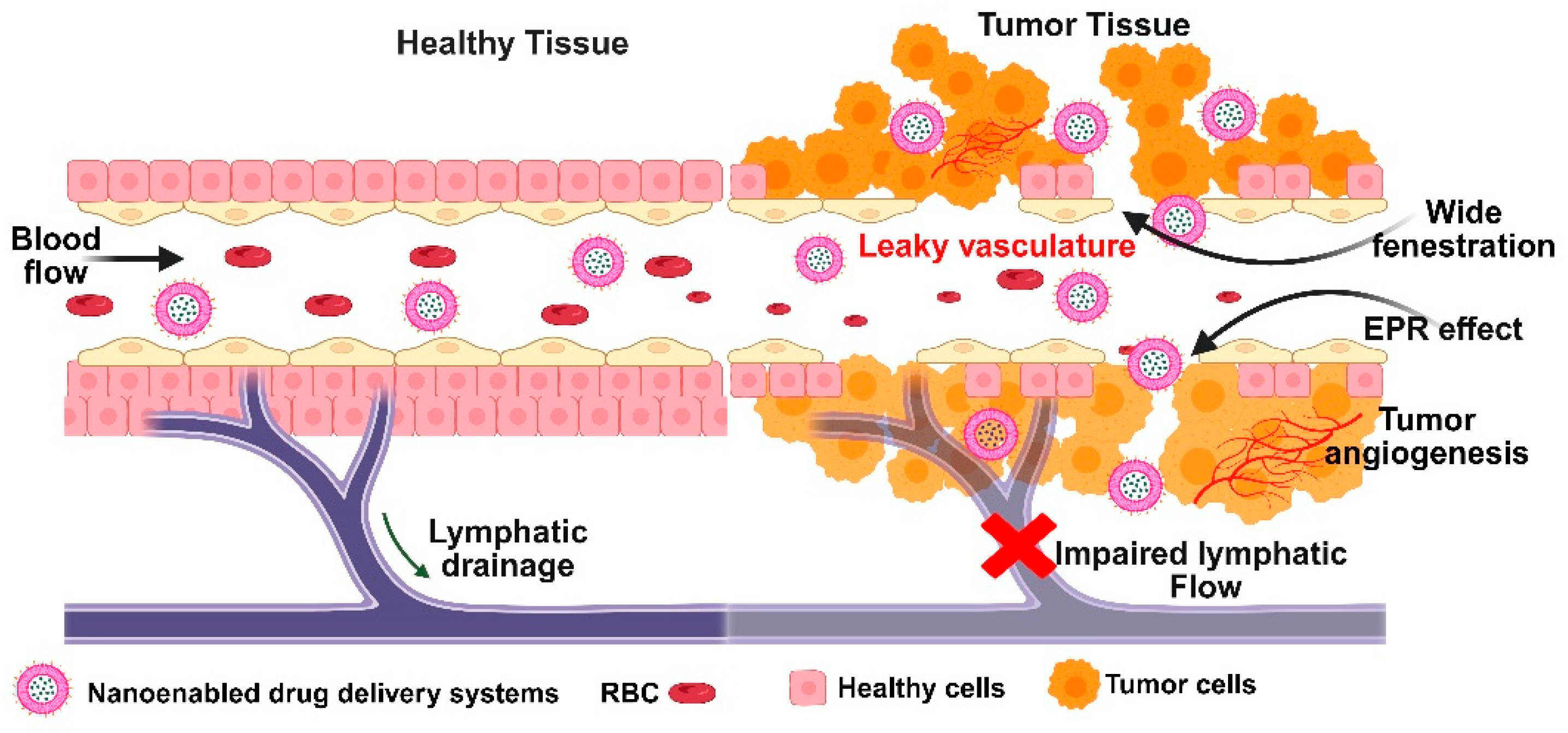 Medsci 13 00275 g005 Medsci 13 00275 g005