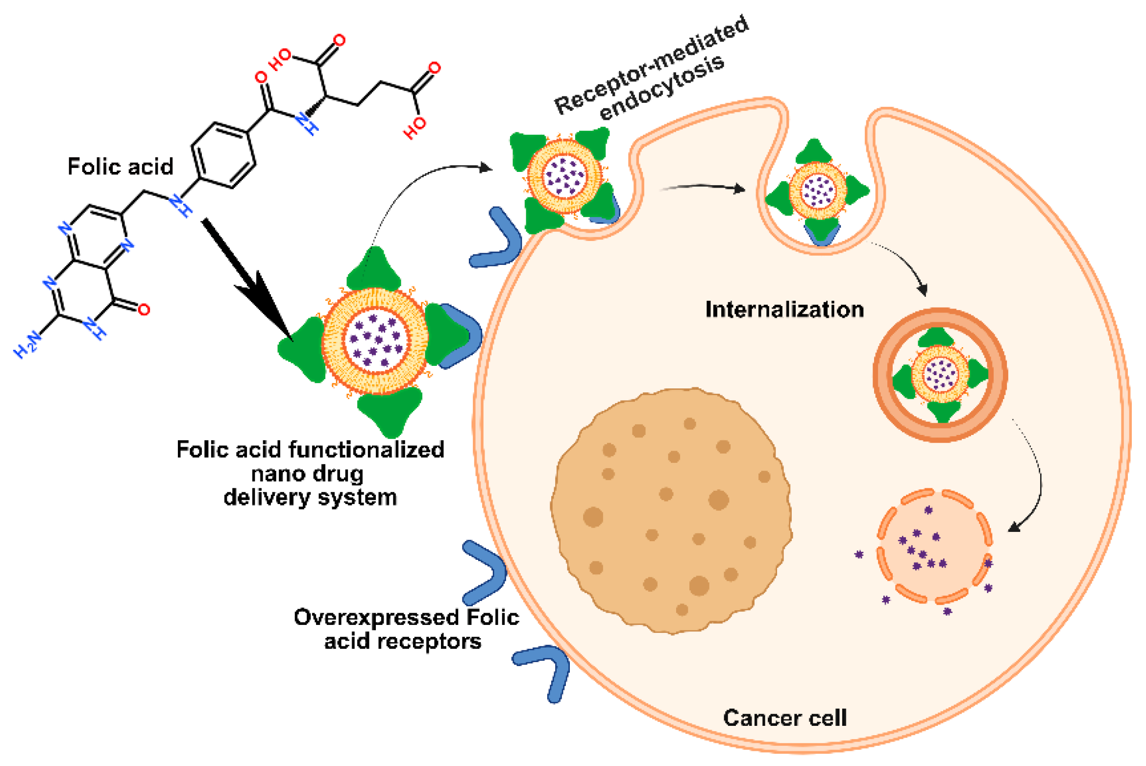 Medsci 13 00275 g006 Medsci 13 00275 g006