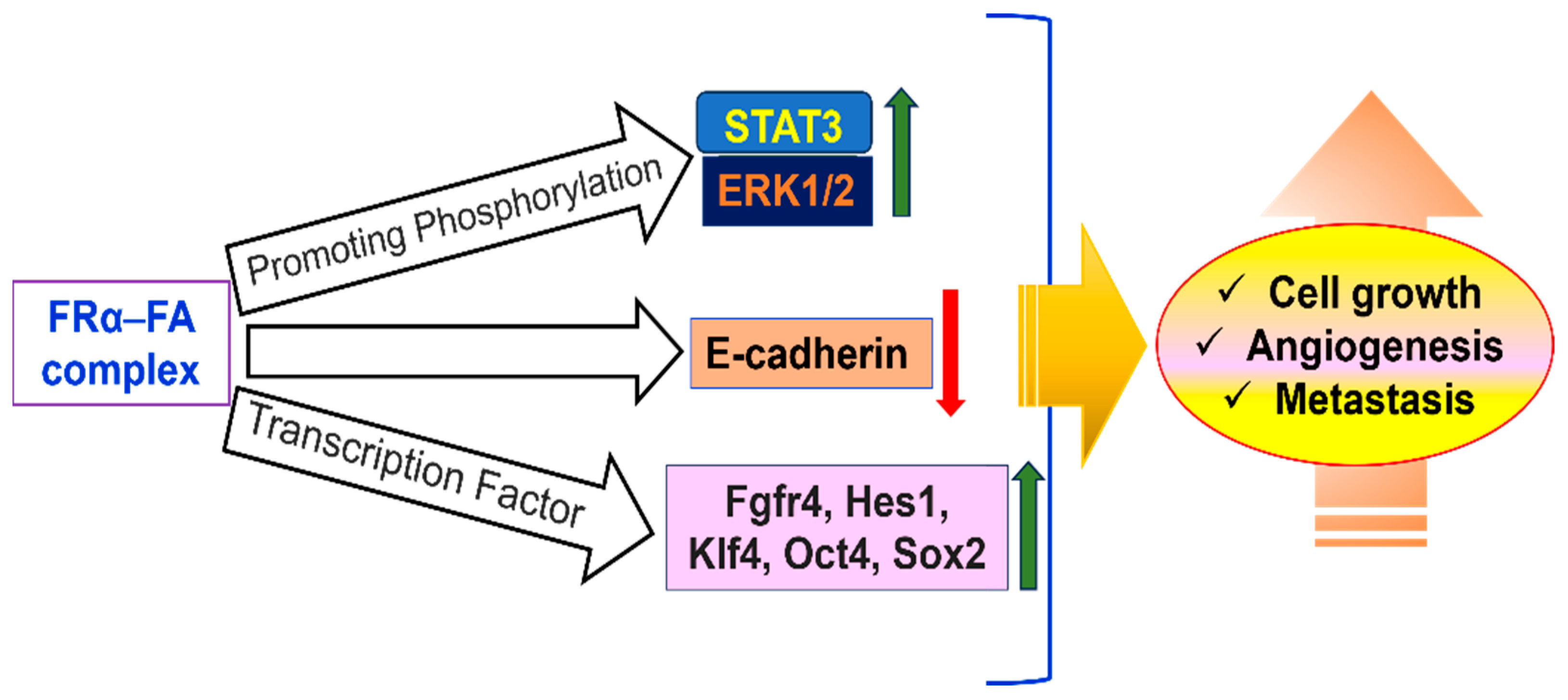 Medsci 13 00275 g008 Medsci 13 00275 g008