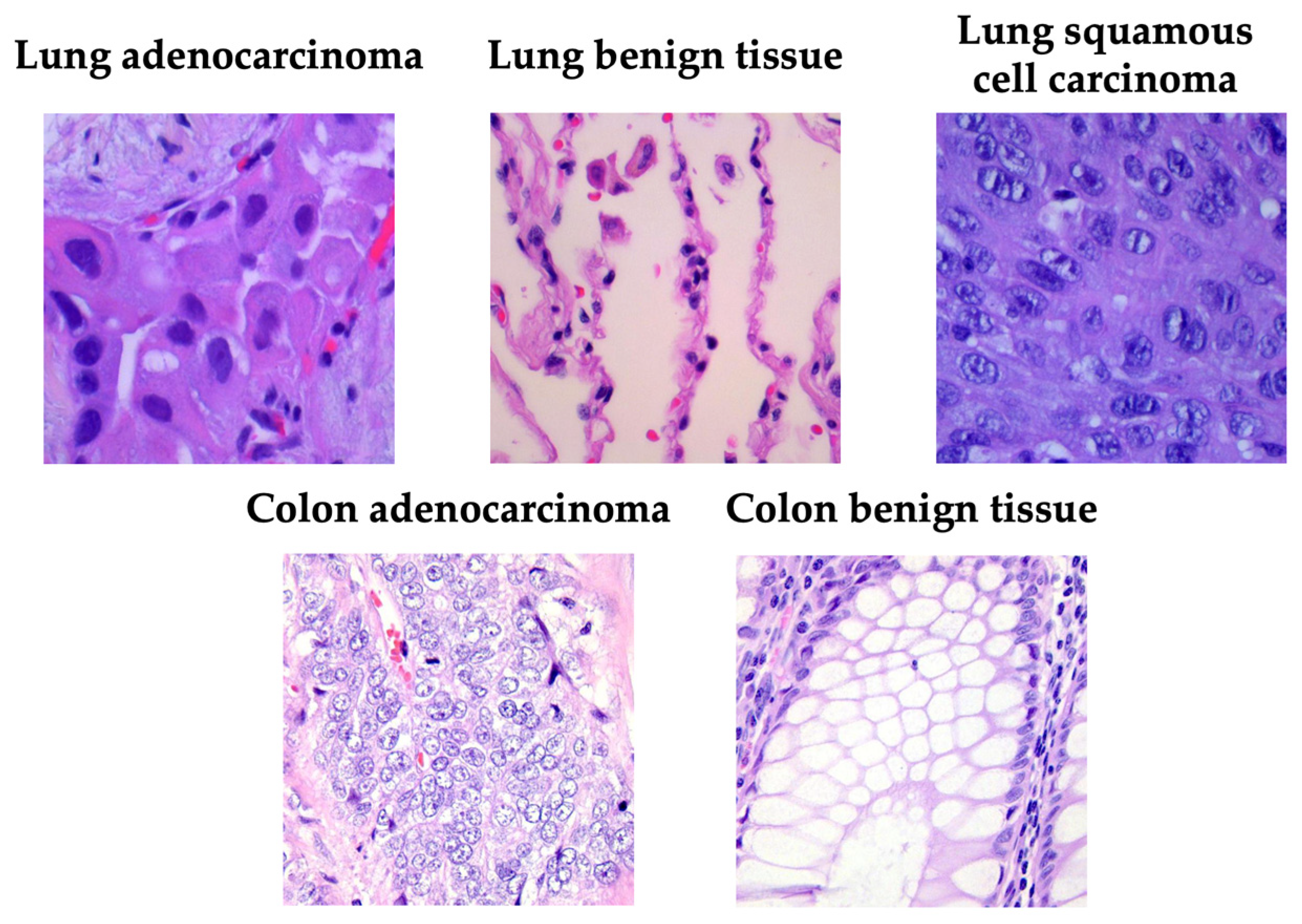 Medsci 13 00286 g001 Medsci 13 00286 g001