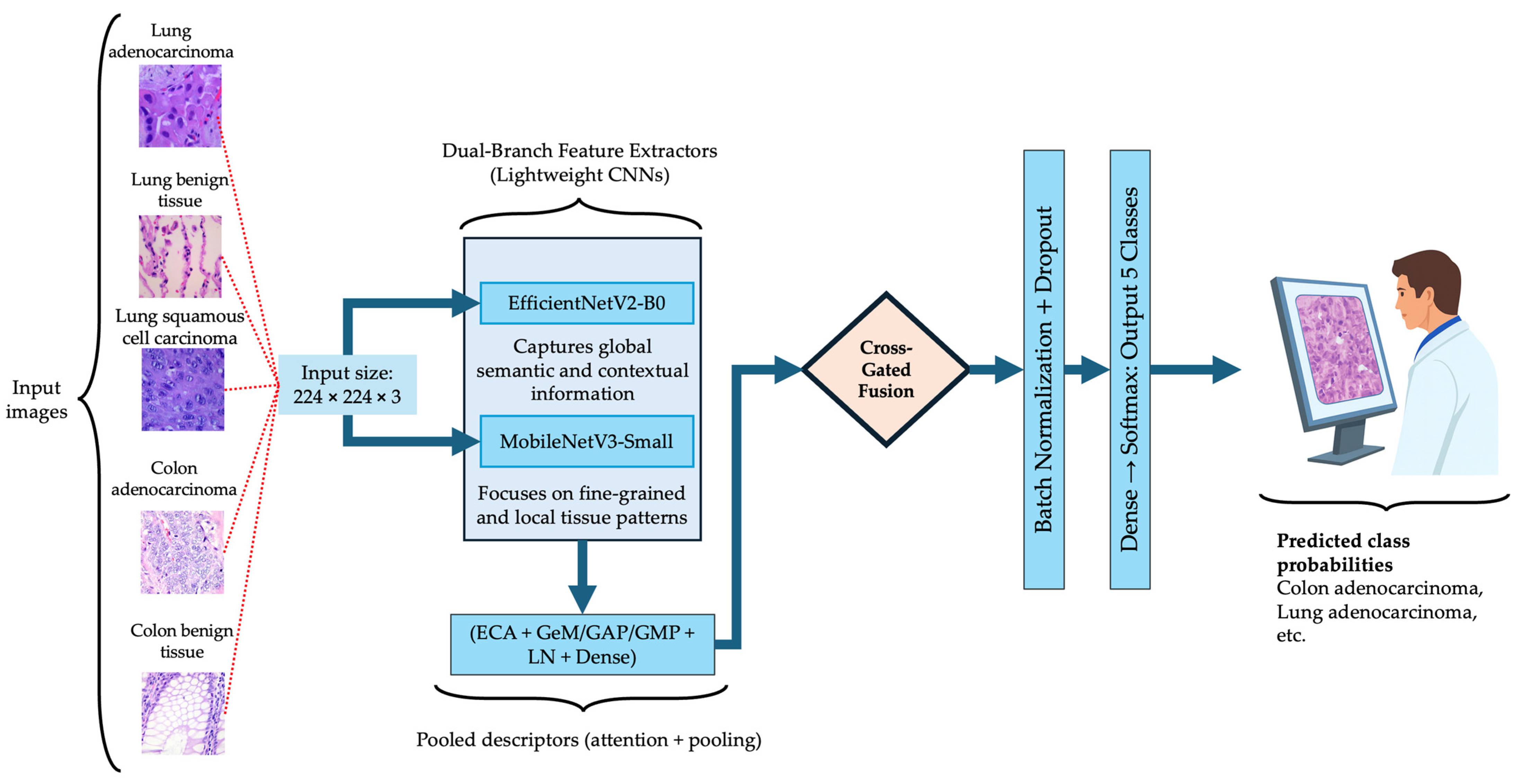 Medsci 13 00286 g002 Medsci 13 00286 g002