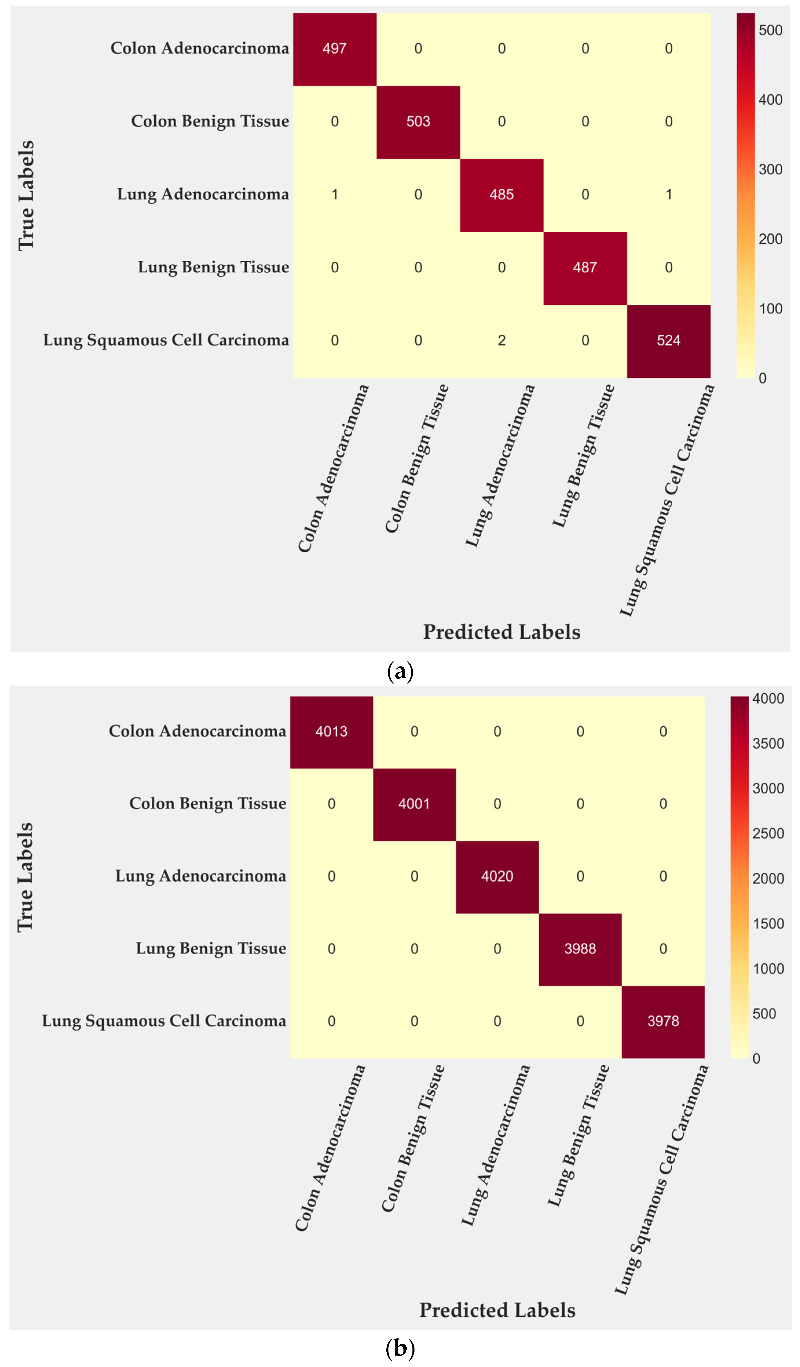 Medsci 13 00286 g003a Medsci 13 00286 g003a