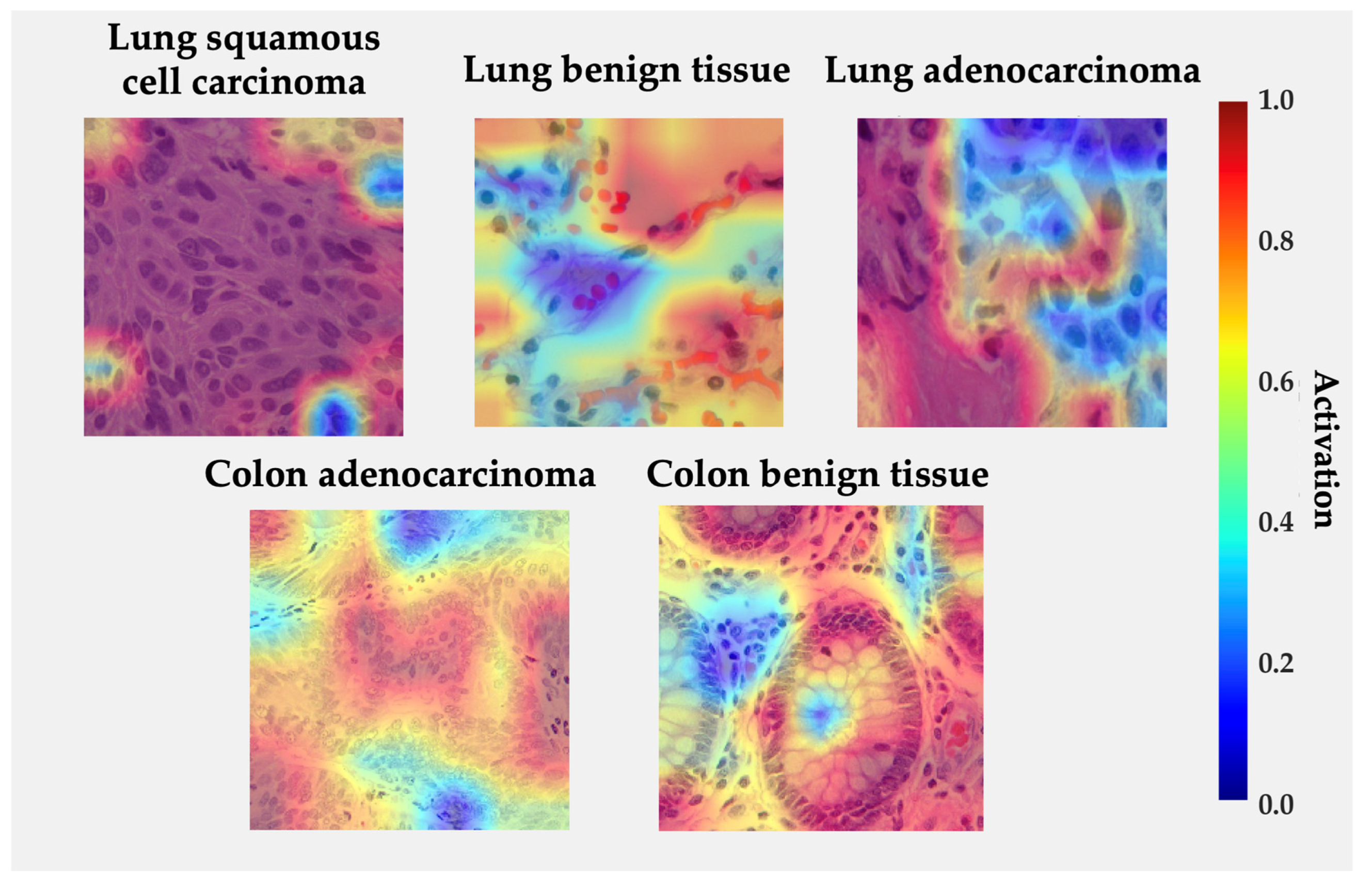 Medsci 13 00286 g007 Medsci 13 00286 g007