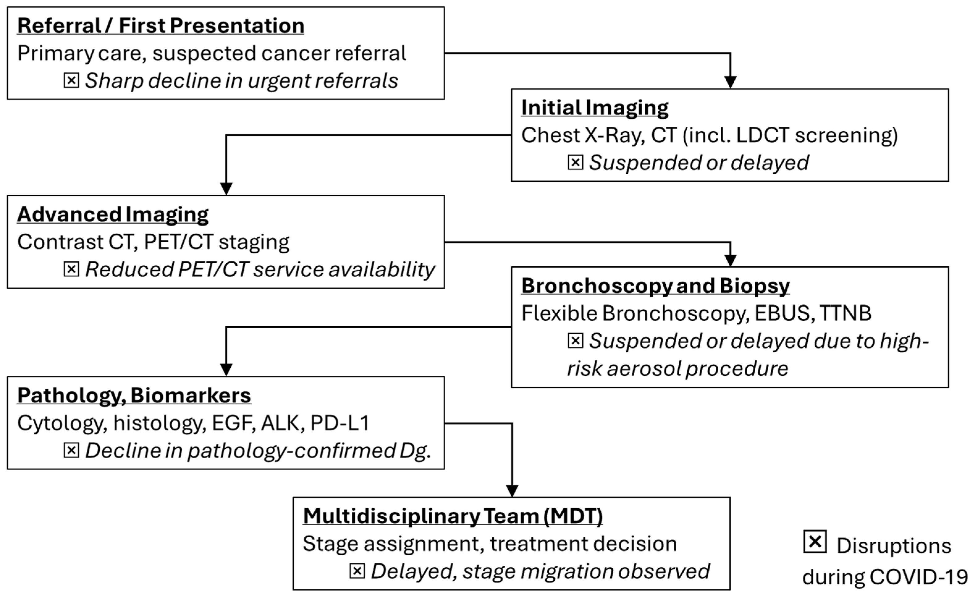 Medsci 13 00295 g001