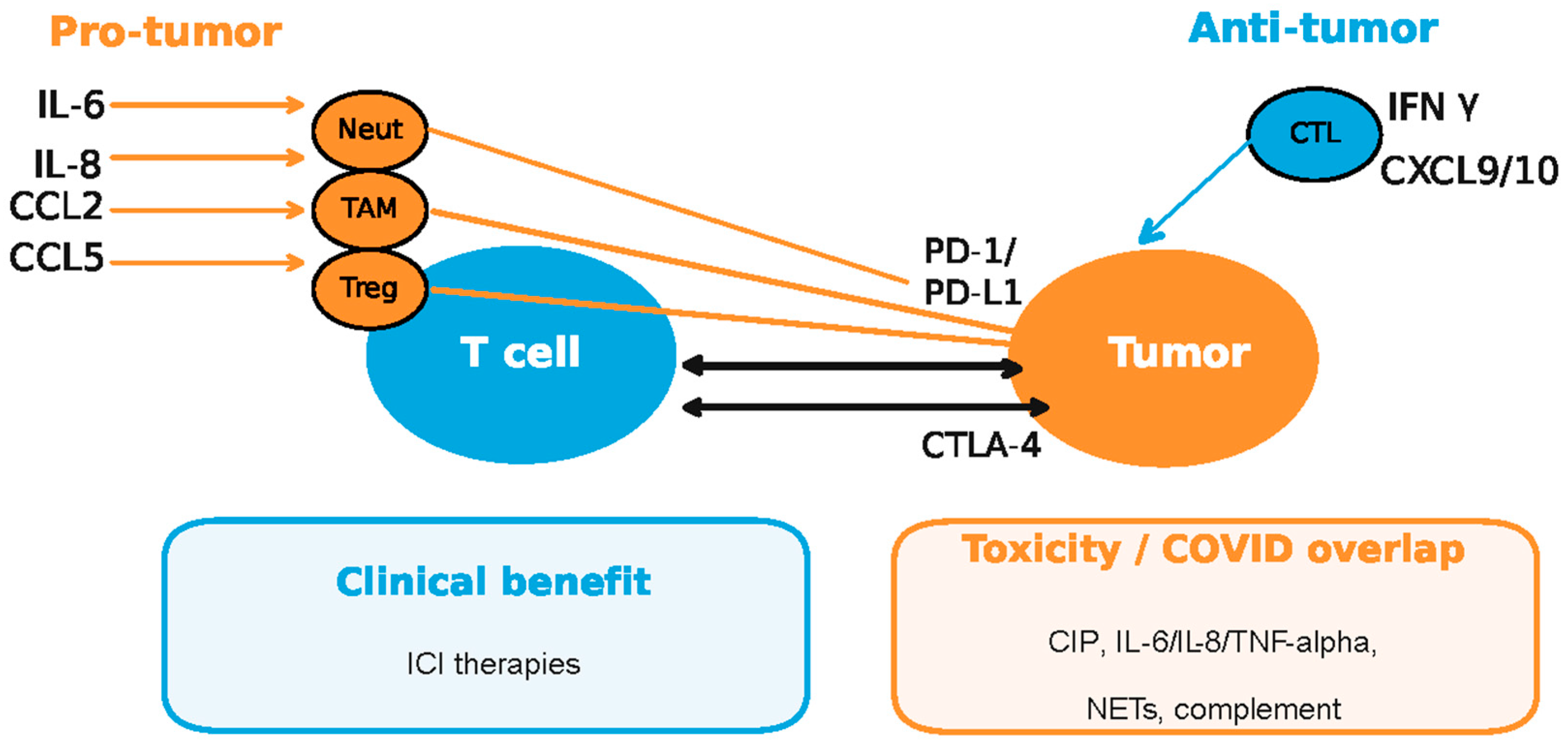 Medsci 13 00295 g005
