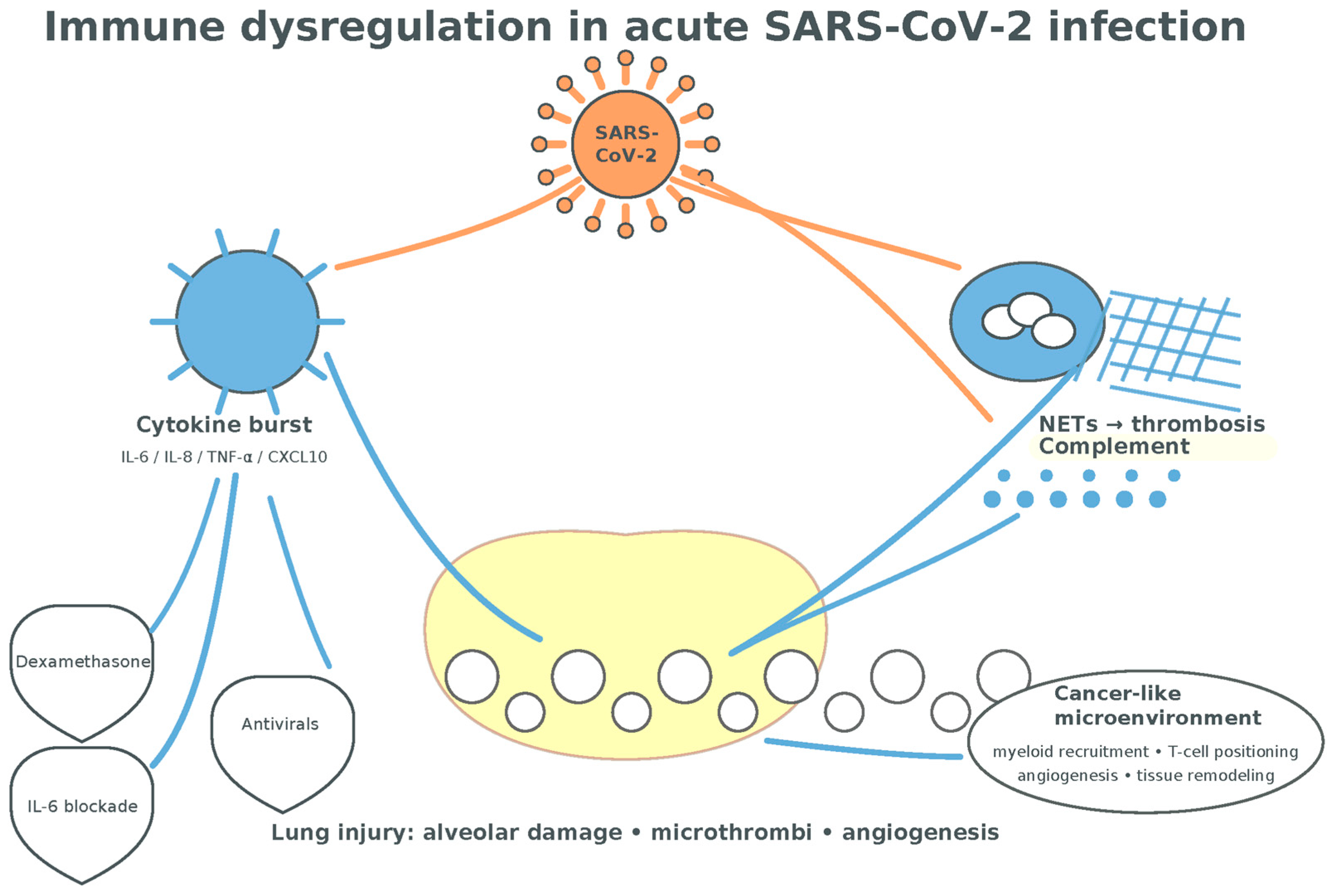 Medsci 13 00295 g006