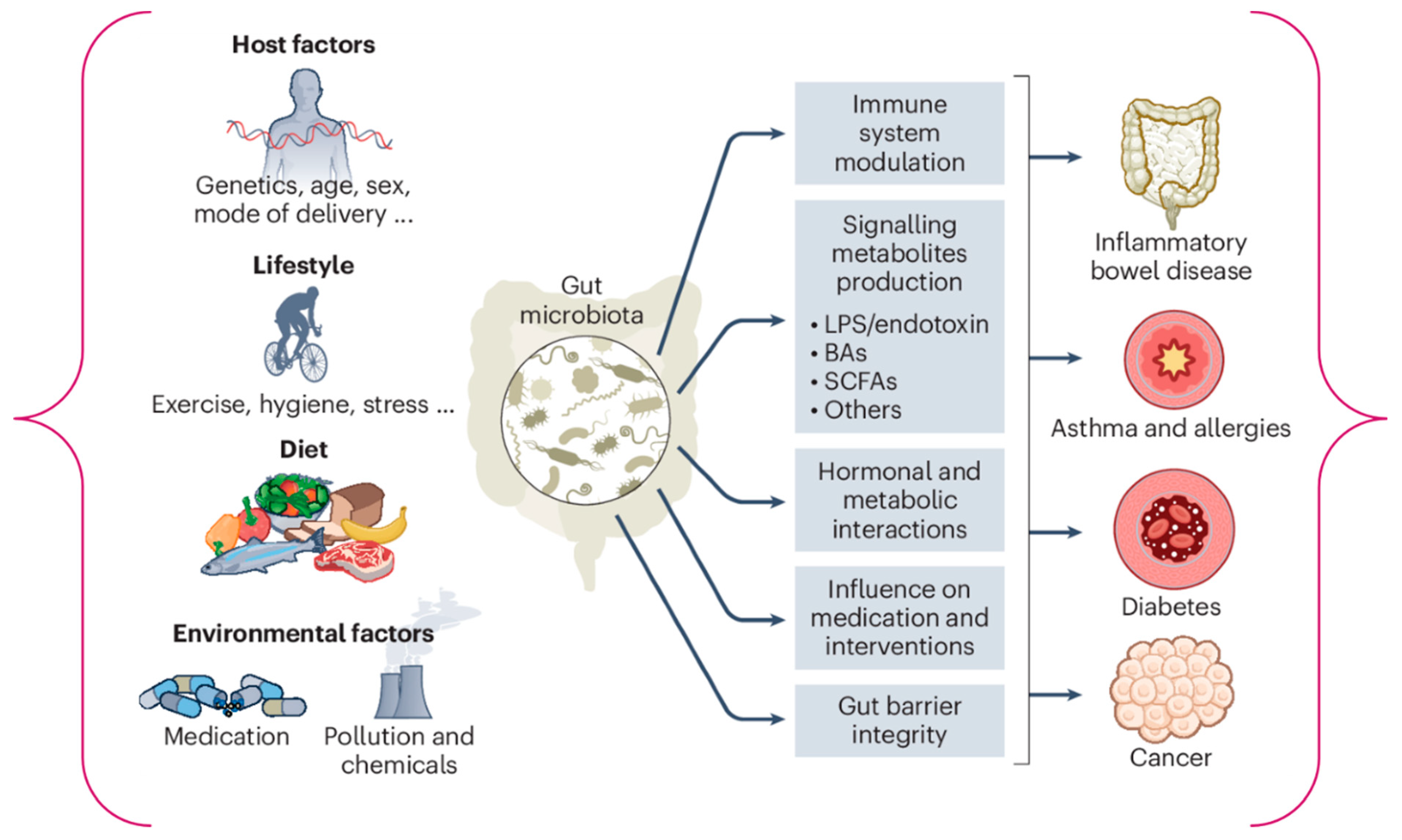 Medsci 13 00302 g001 Medsci 13 00302 g001