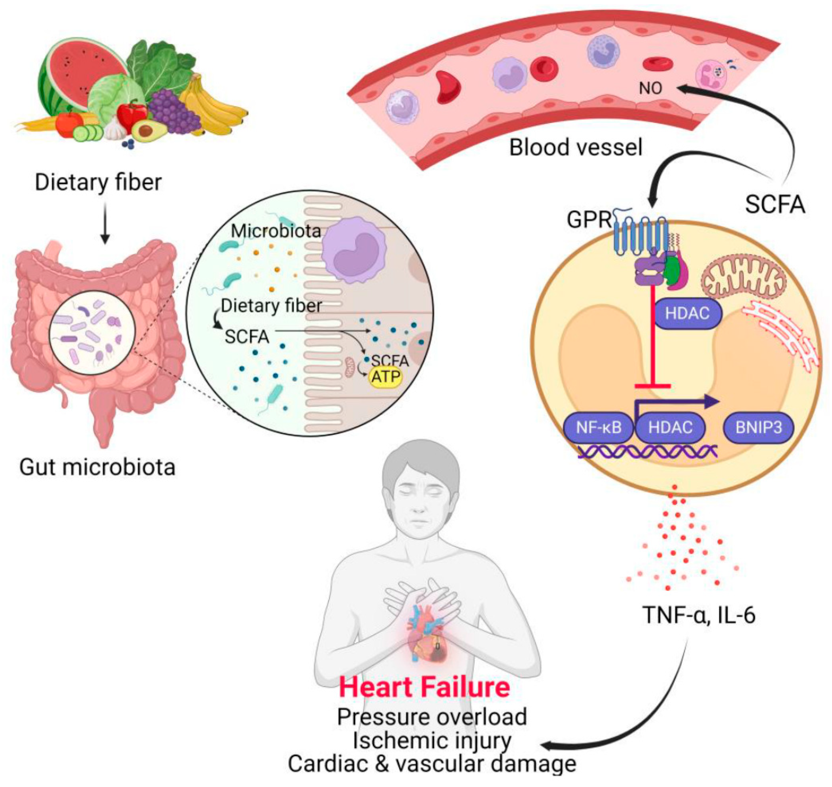Medsci 13 00302 g002 Medsci 13 00302 g002