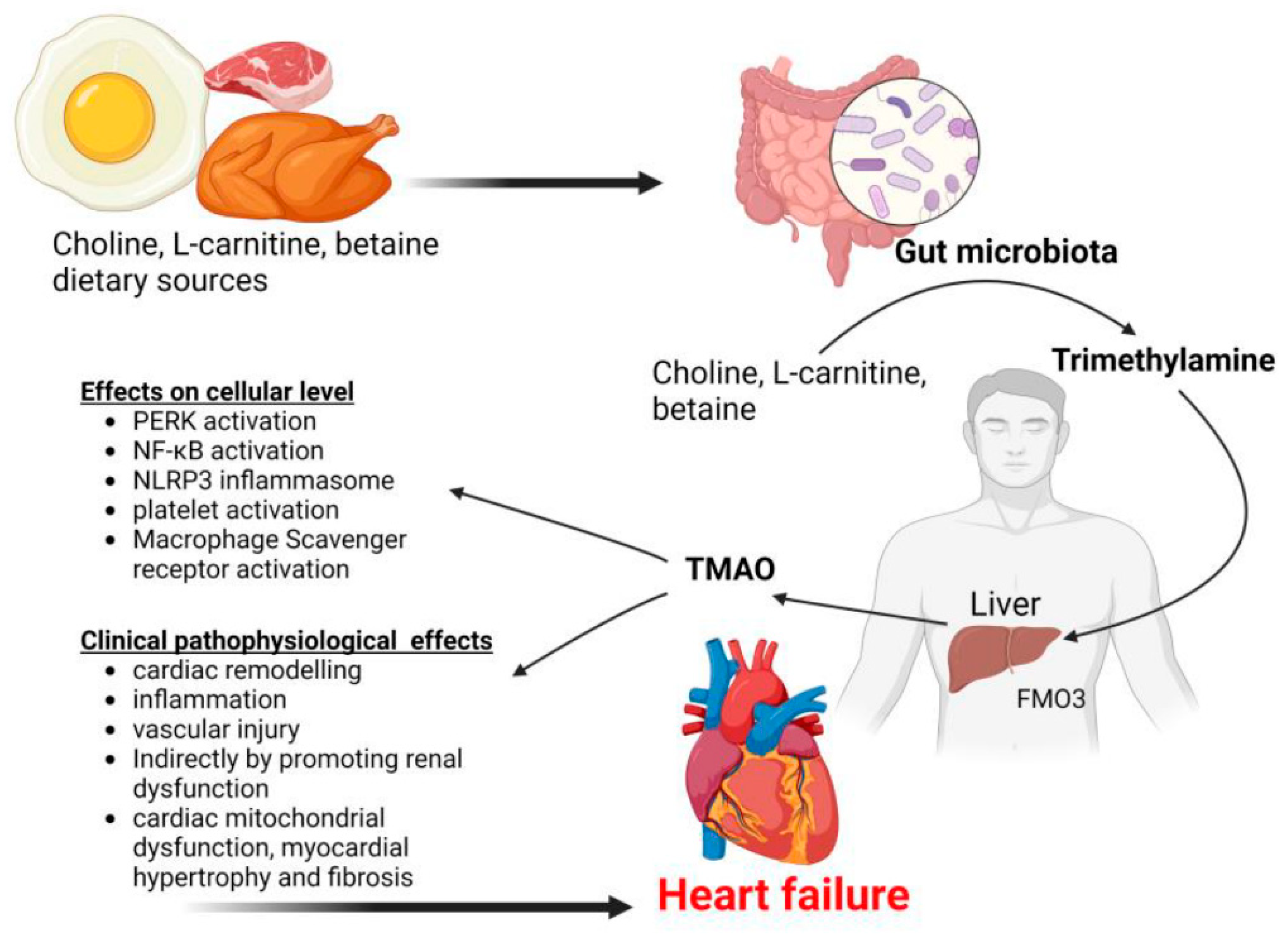 Medsci 13 00302 g003 Medsci 13 00302 g003