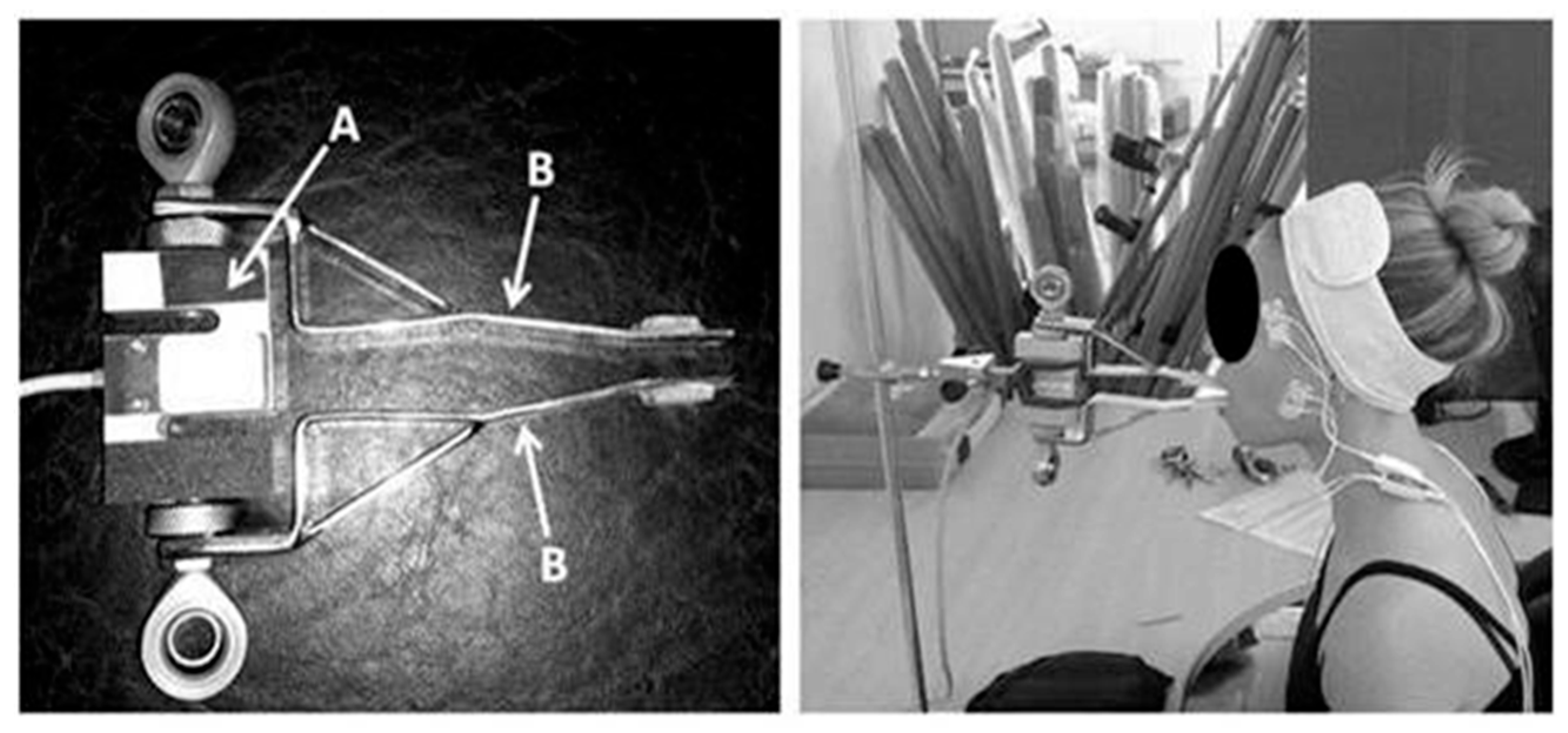 Medsci 13 00306 g001