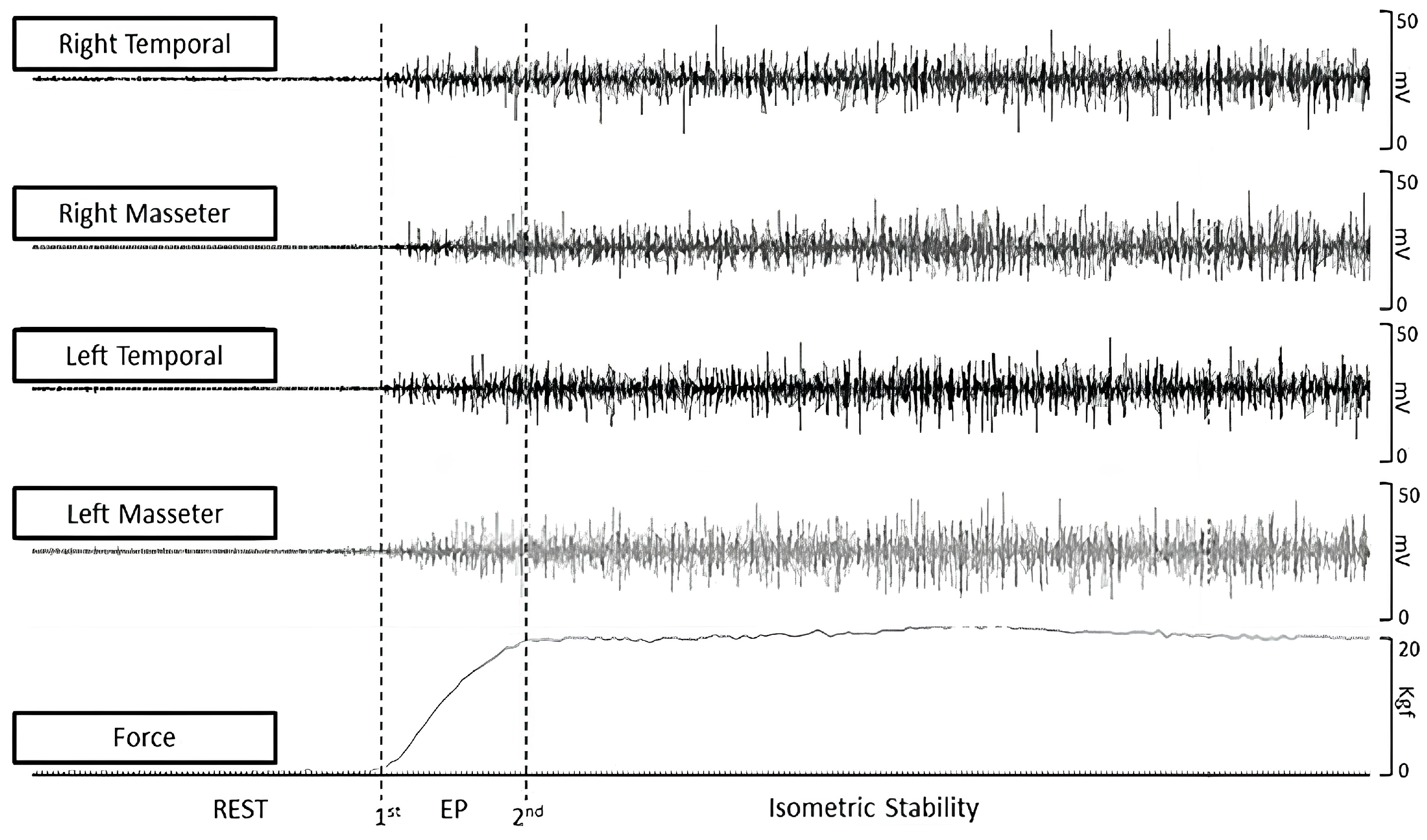 Medsci 13 00306 g002