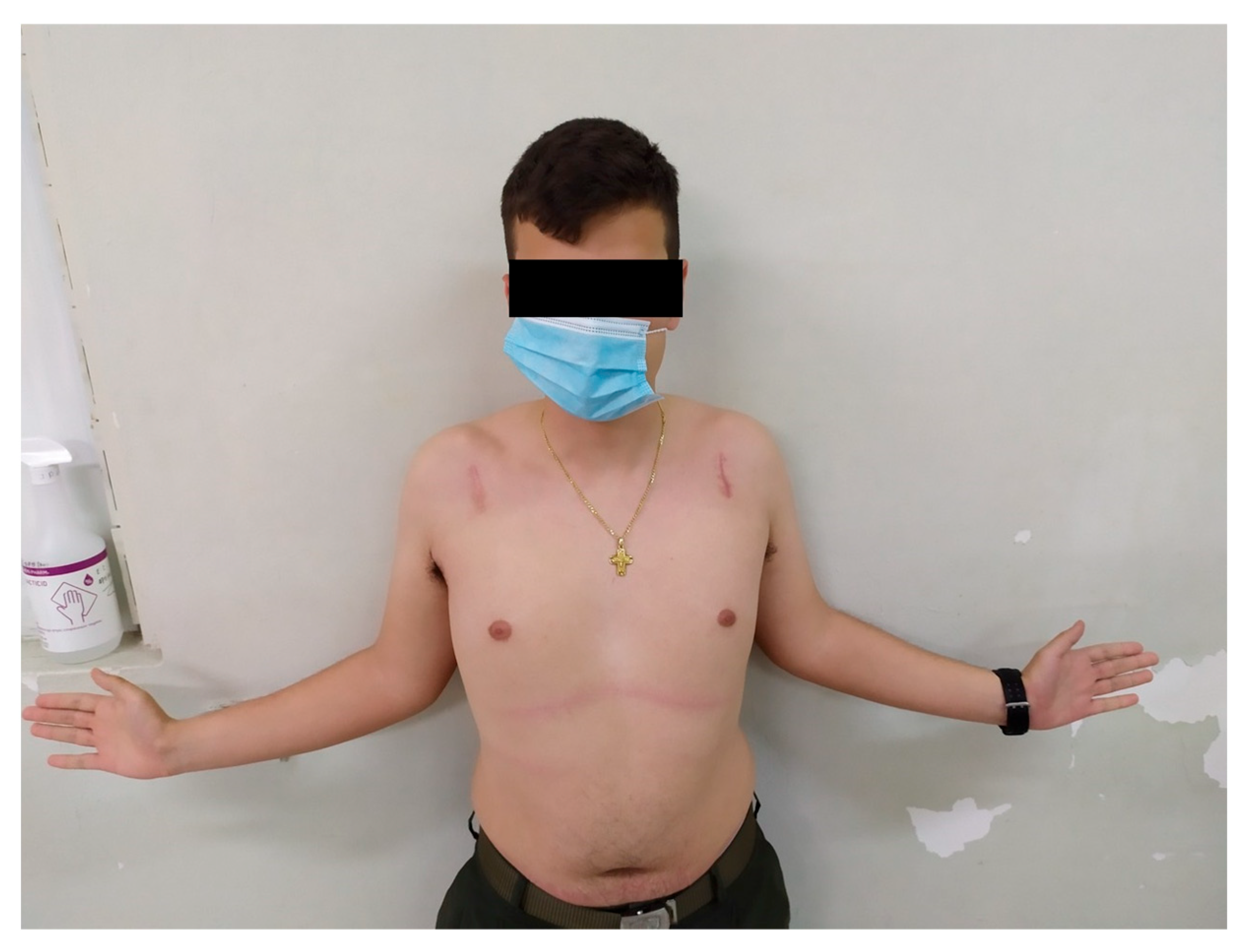 Medsci 13 00307 g003