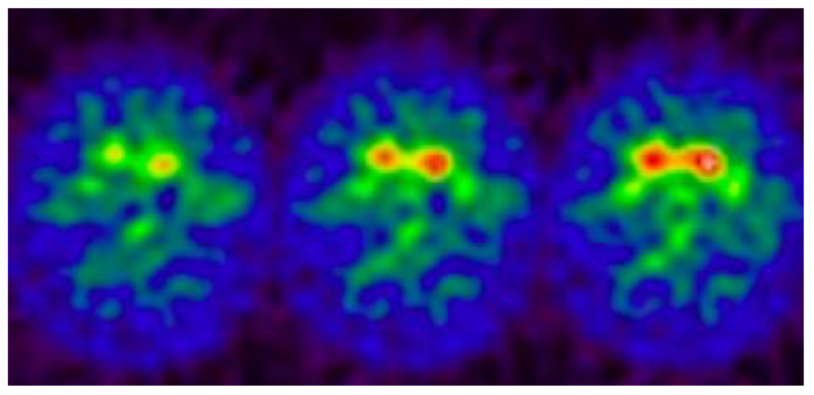 Medsci 13 00308 g003 Medsci 13 00308 g003