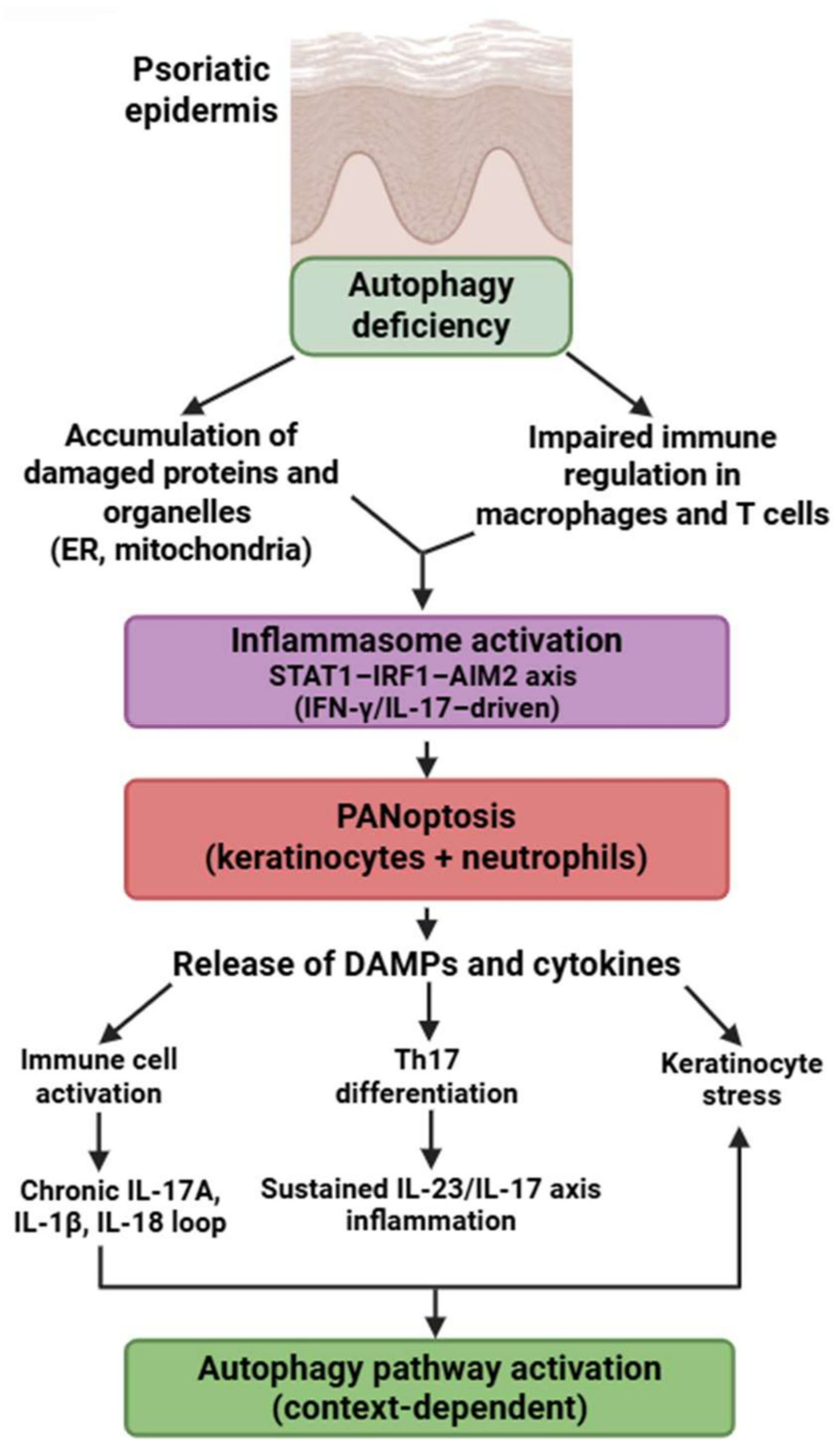 Medsci 13 00310 g006