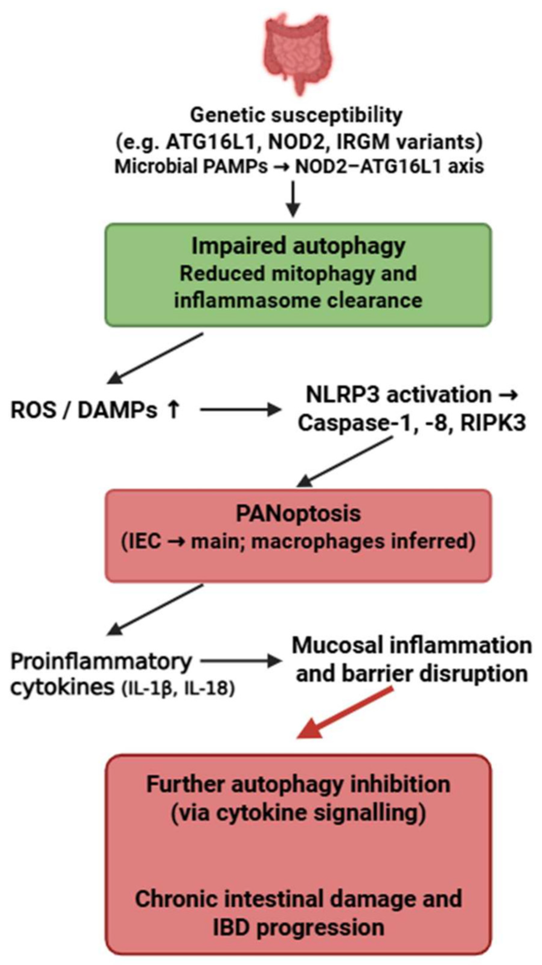 Medsci 13 00310 g007