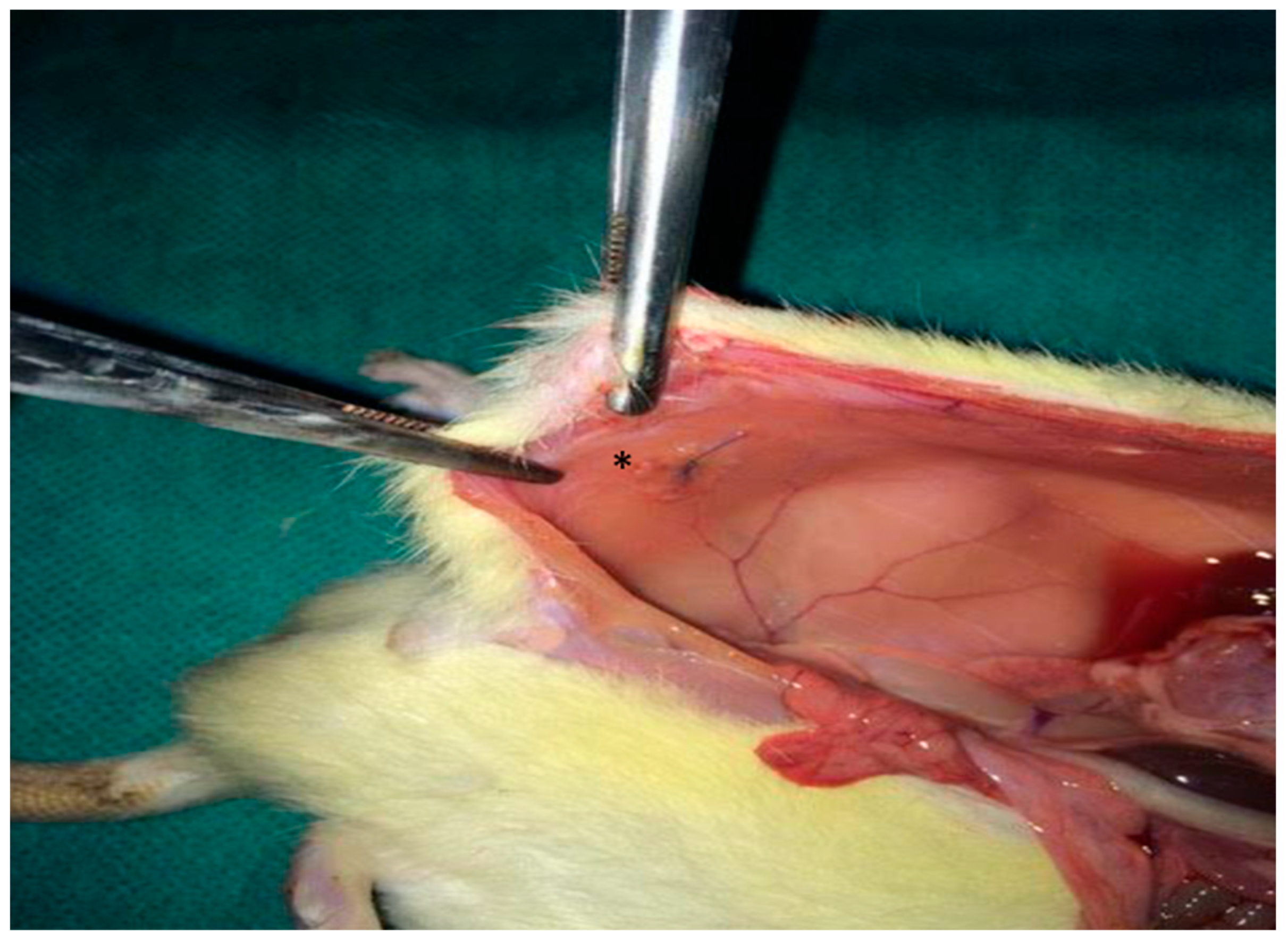 Medsci 13 00318 g001 Medsci 13 00318 g001