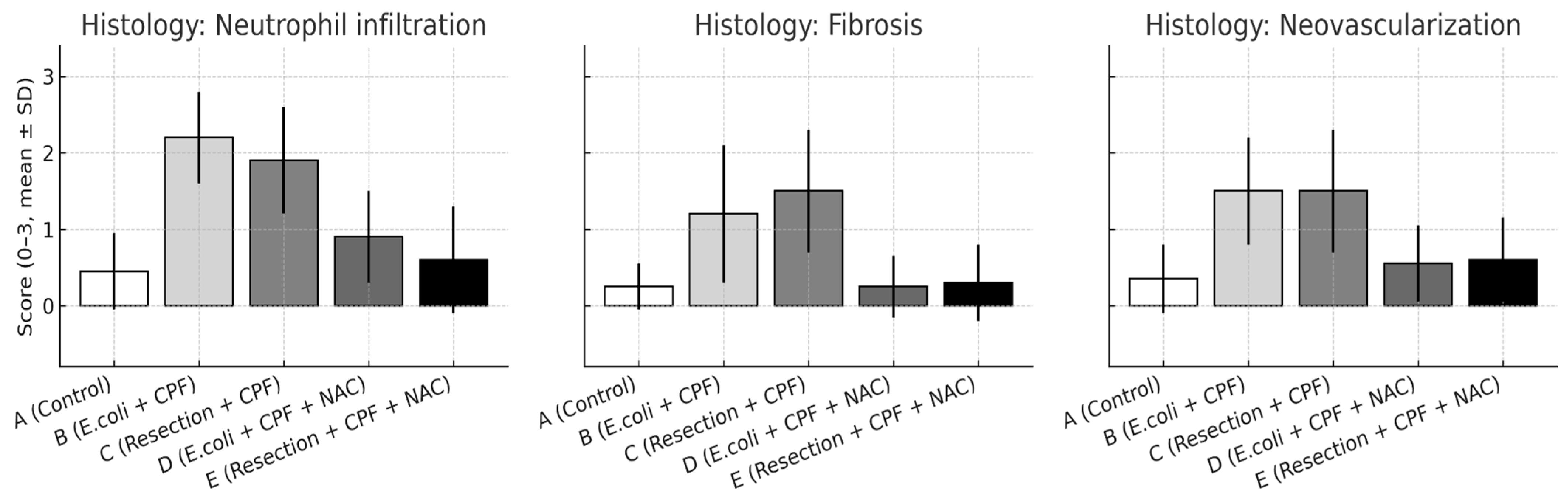 Medsci 13 00318 g004 Medsci 13 00318 g004