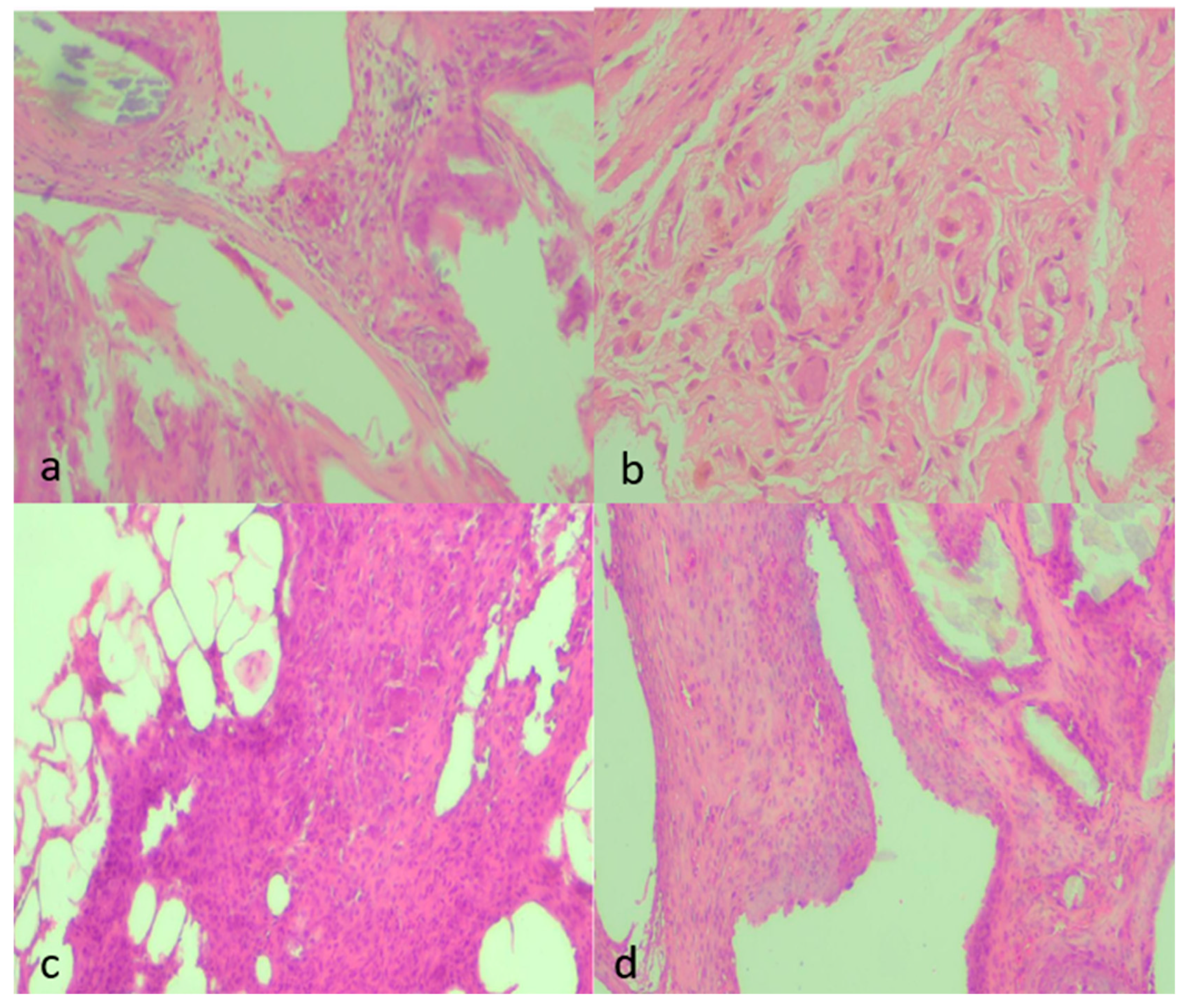 Medsci 13 00318 g006 Medsci 13 00318 g006