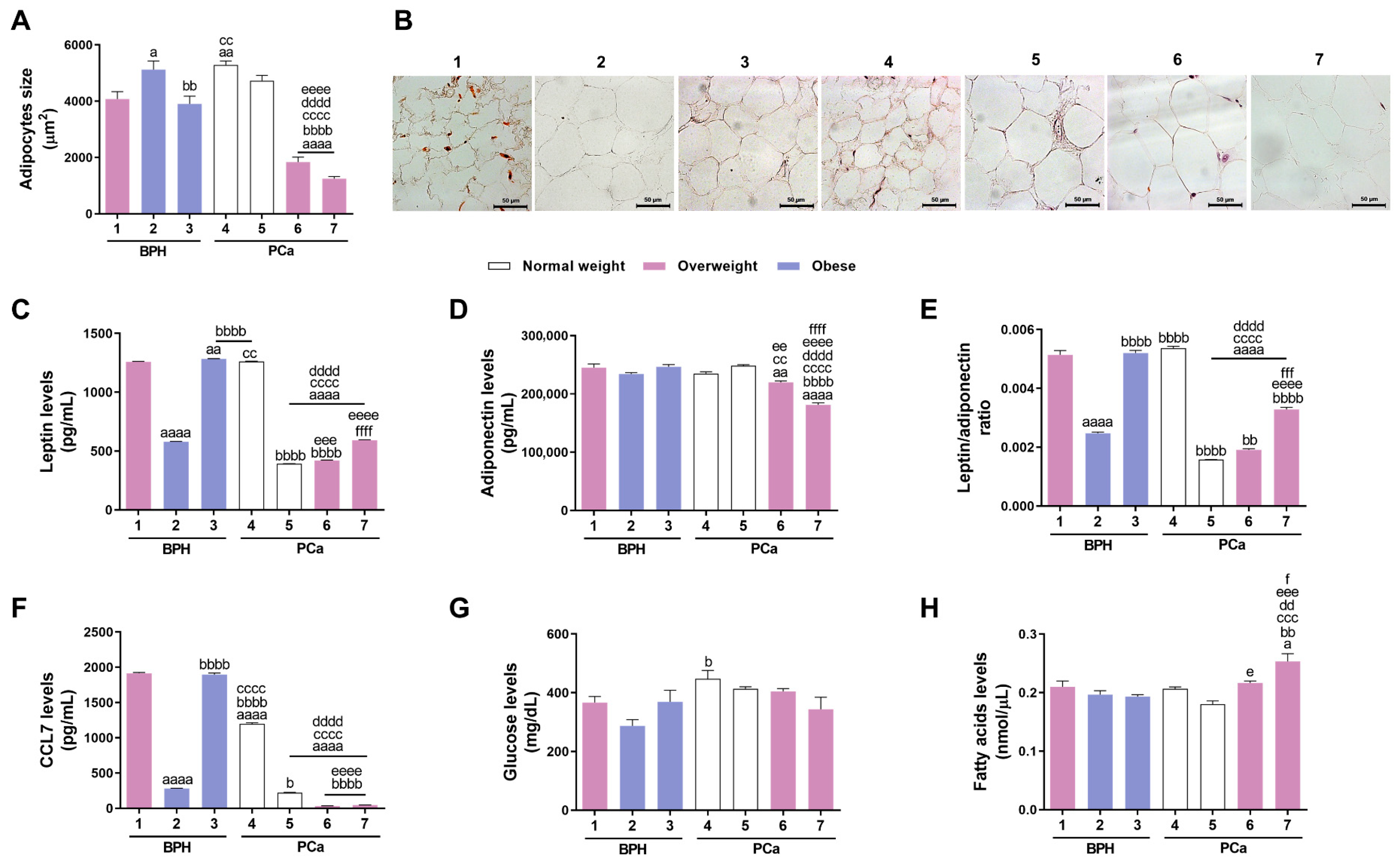 Medsci 13 00322 g001