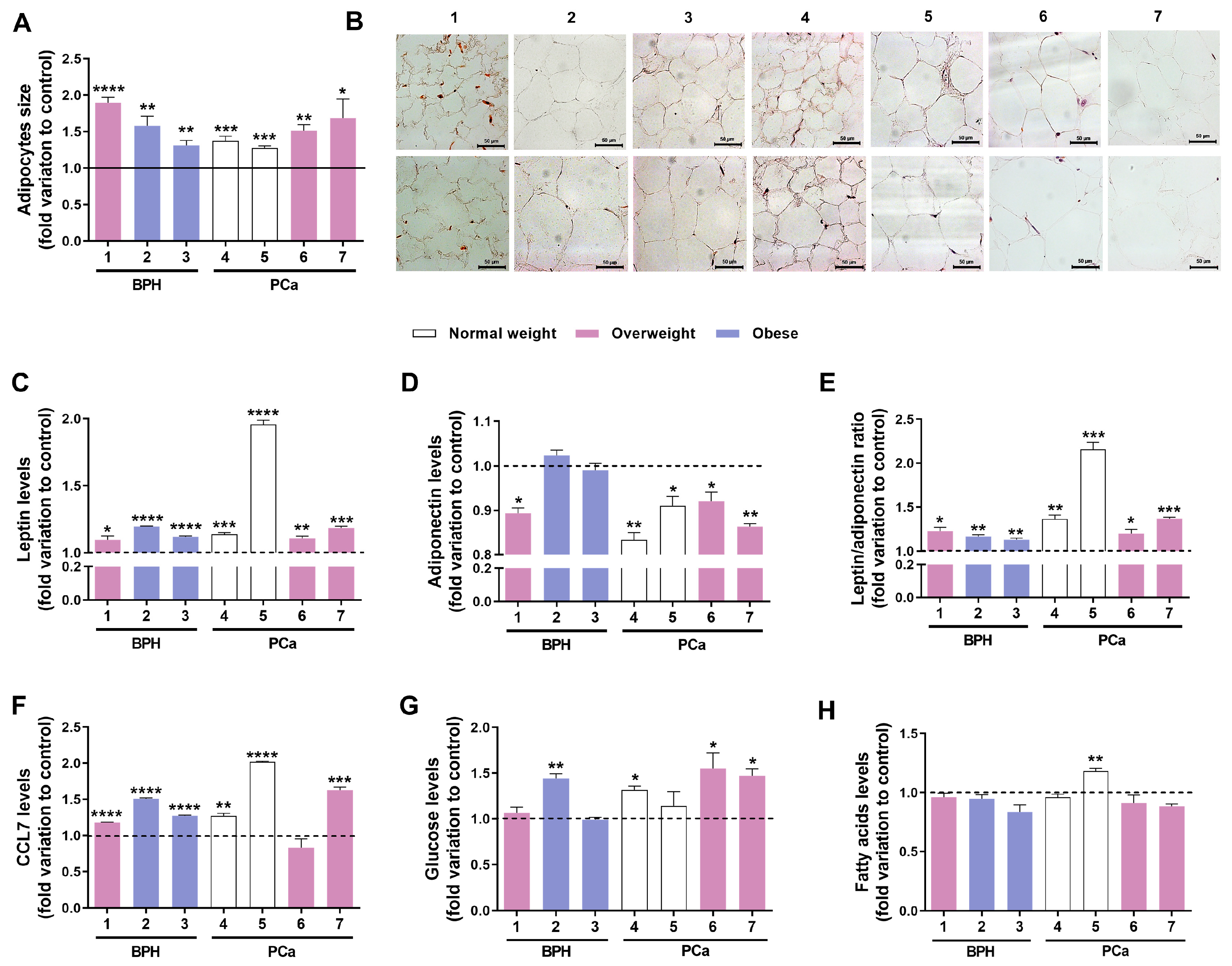 Medsci 13 00322 g004