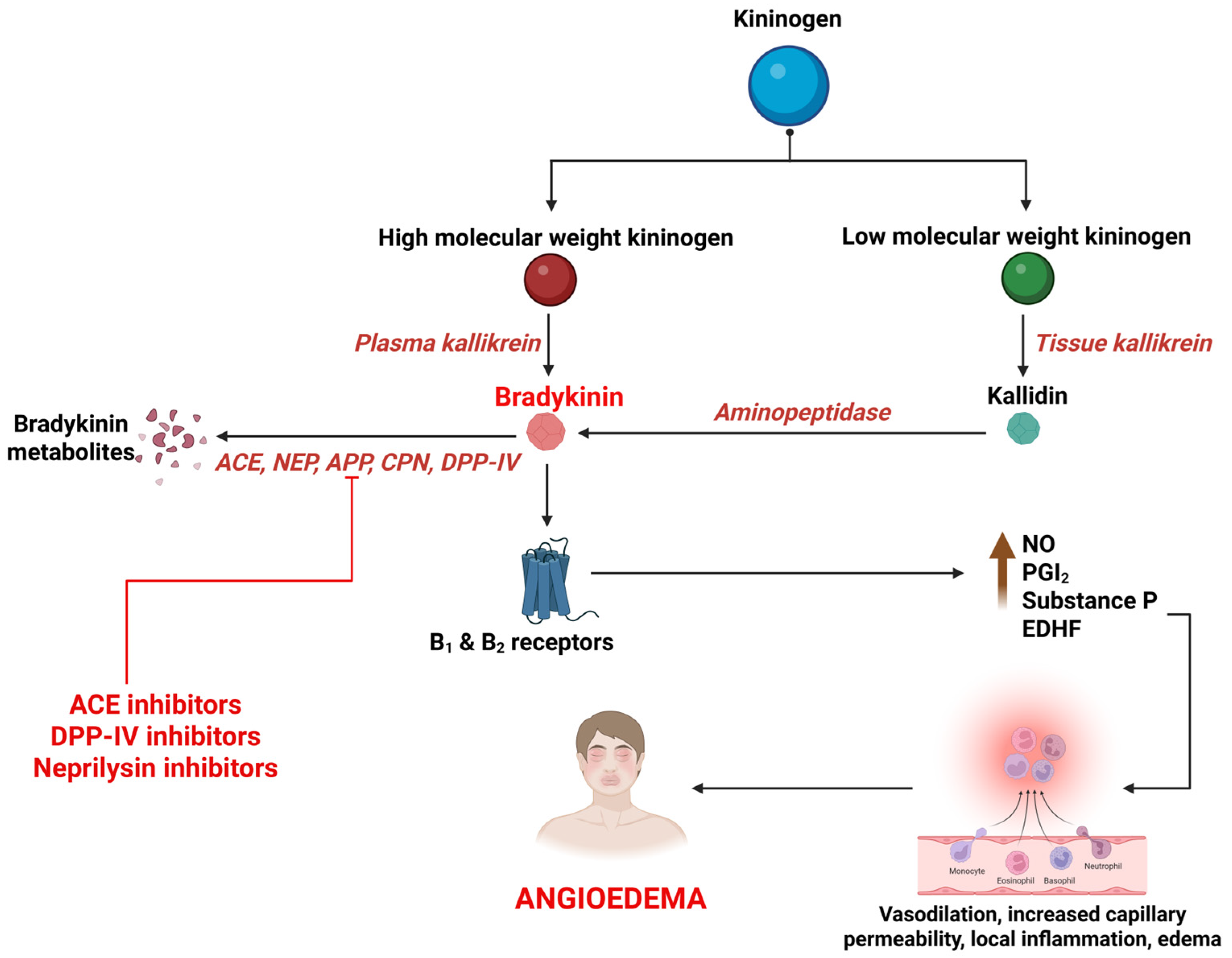 Medsci 13 00327 g002 Medsci 13 00327 g002
