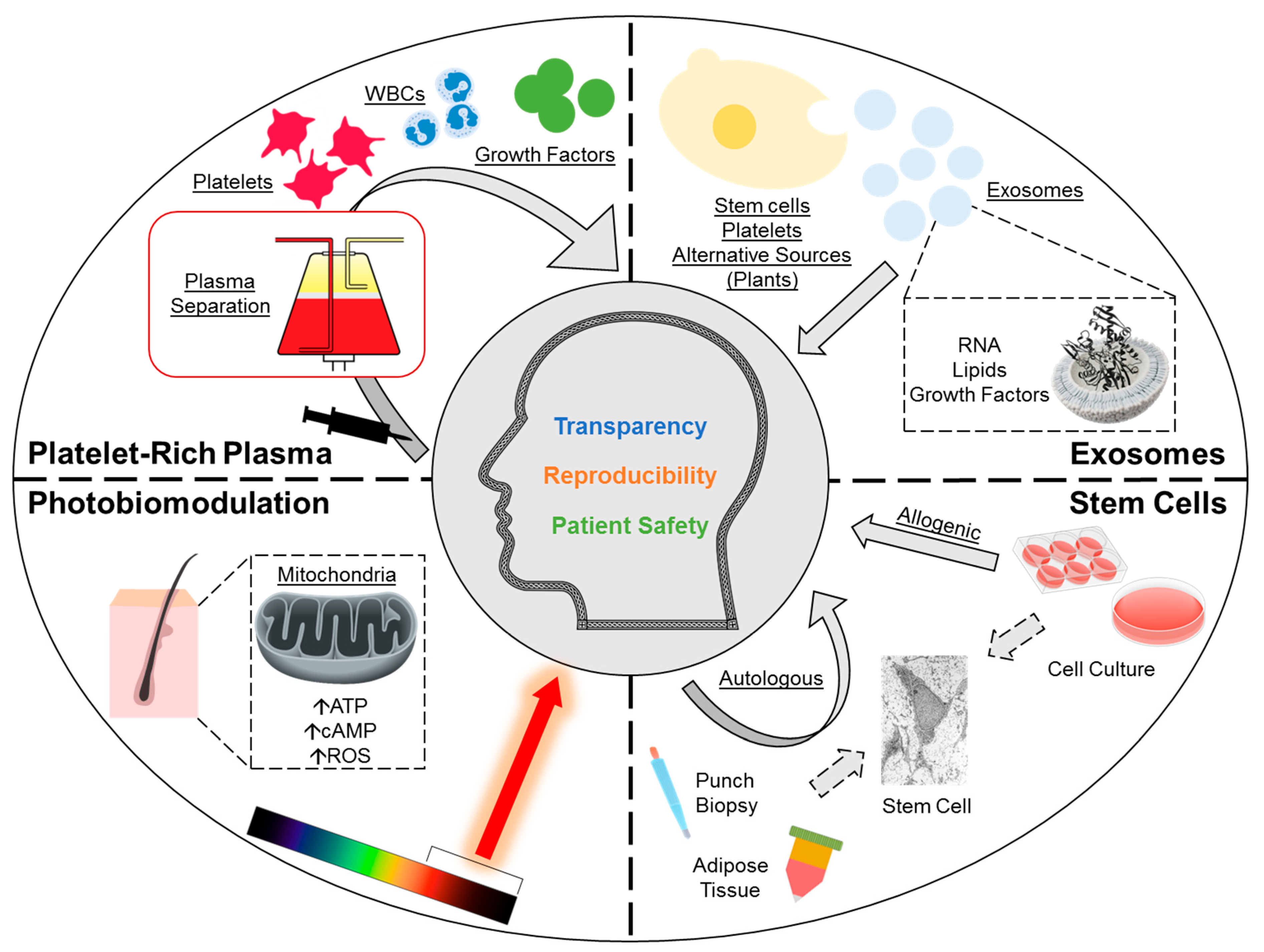 Medsci 14 00005 g001