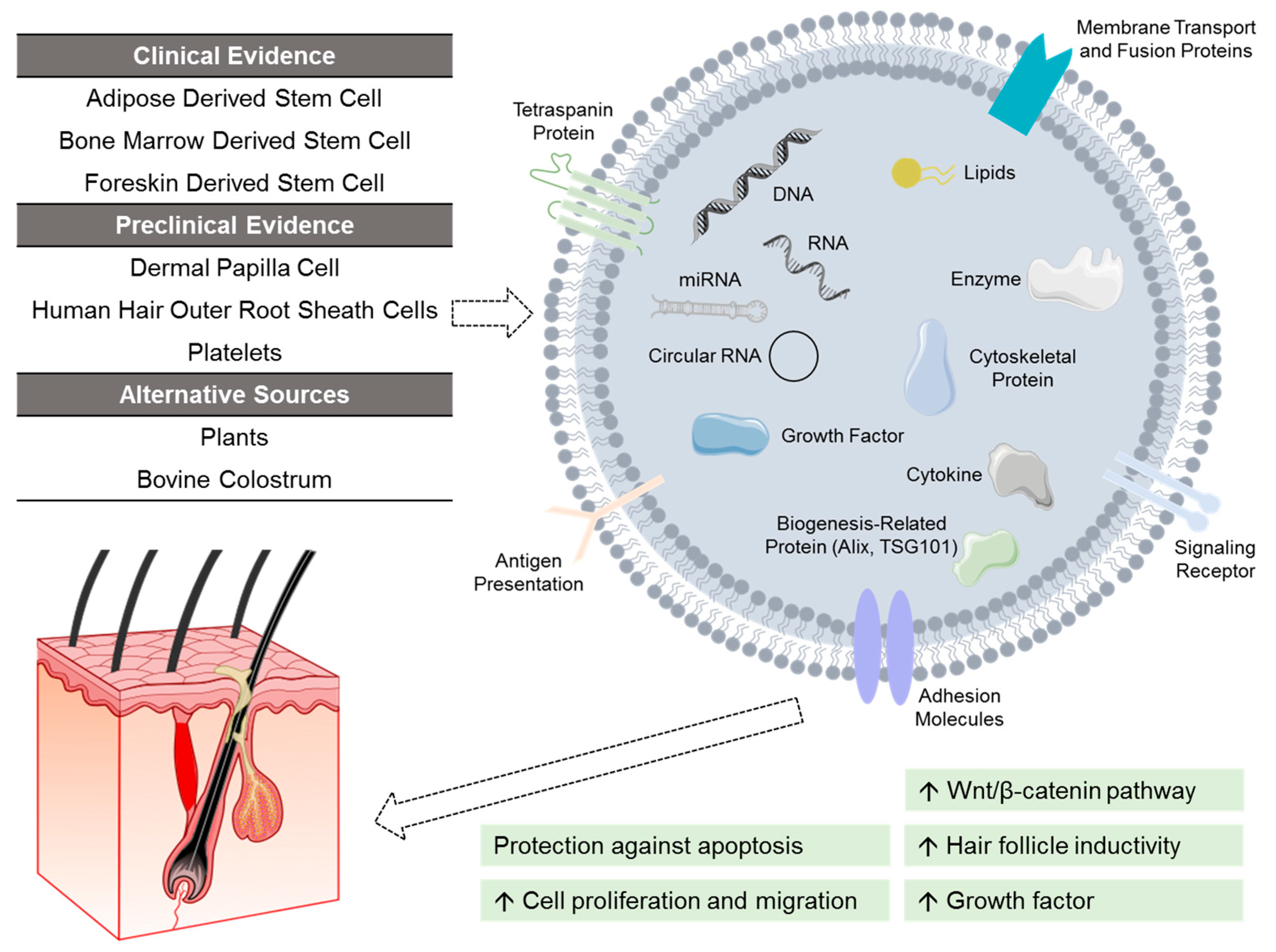 Medsci 14 00005 g003