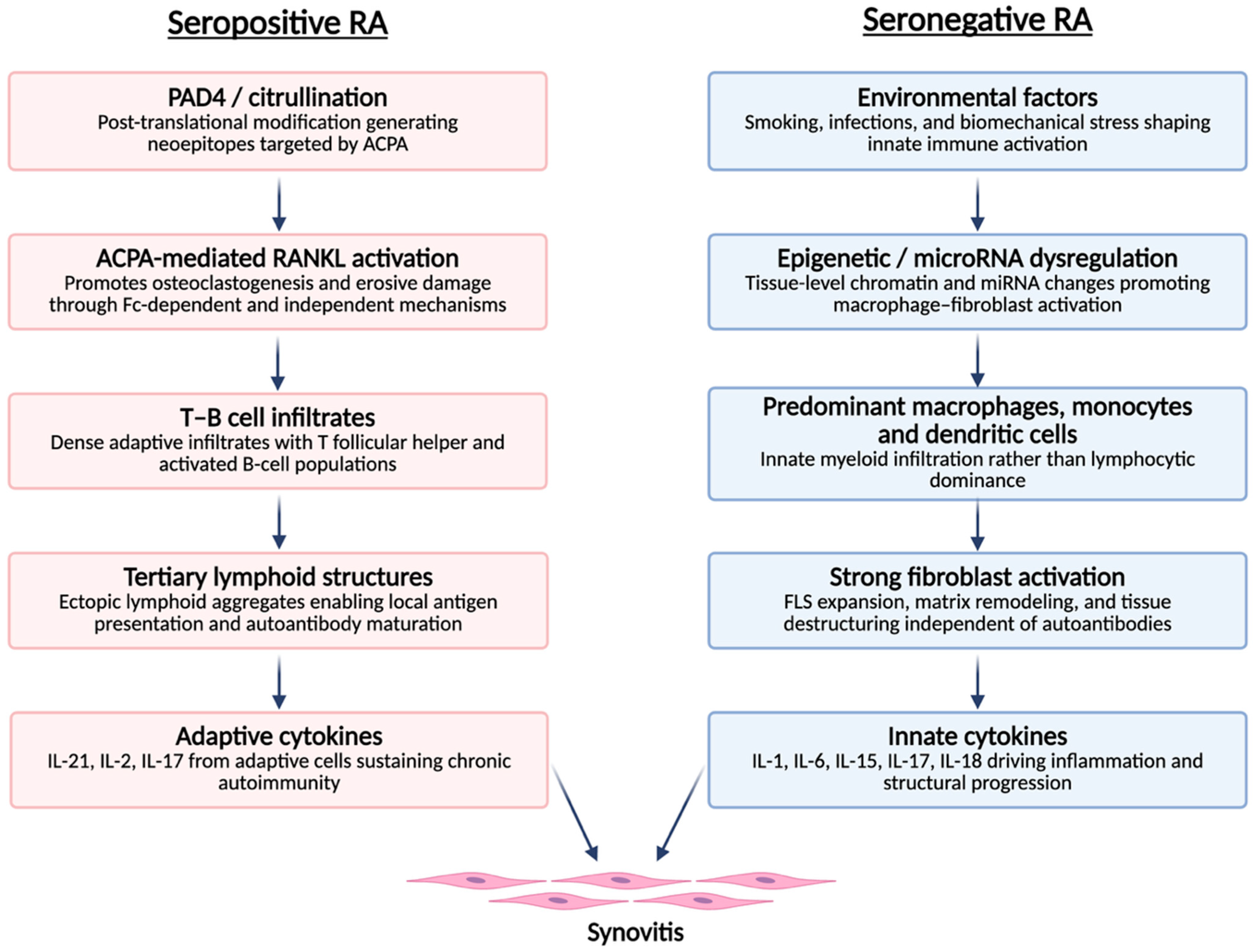 Medsci 14 00014 g001 Medsci 14 00014 g001