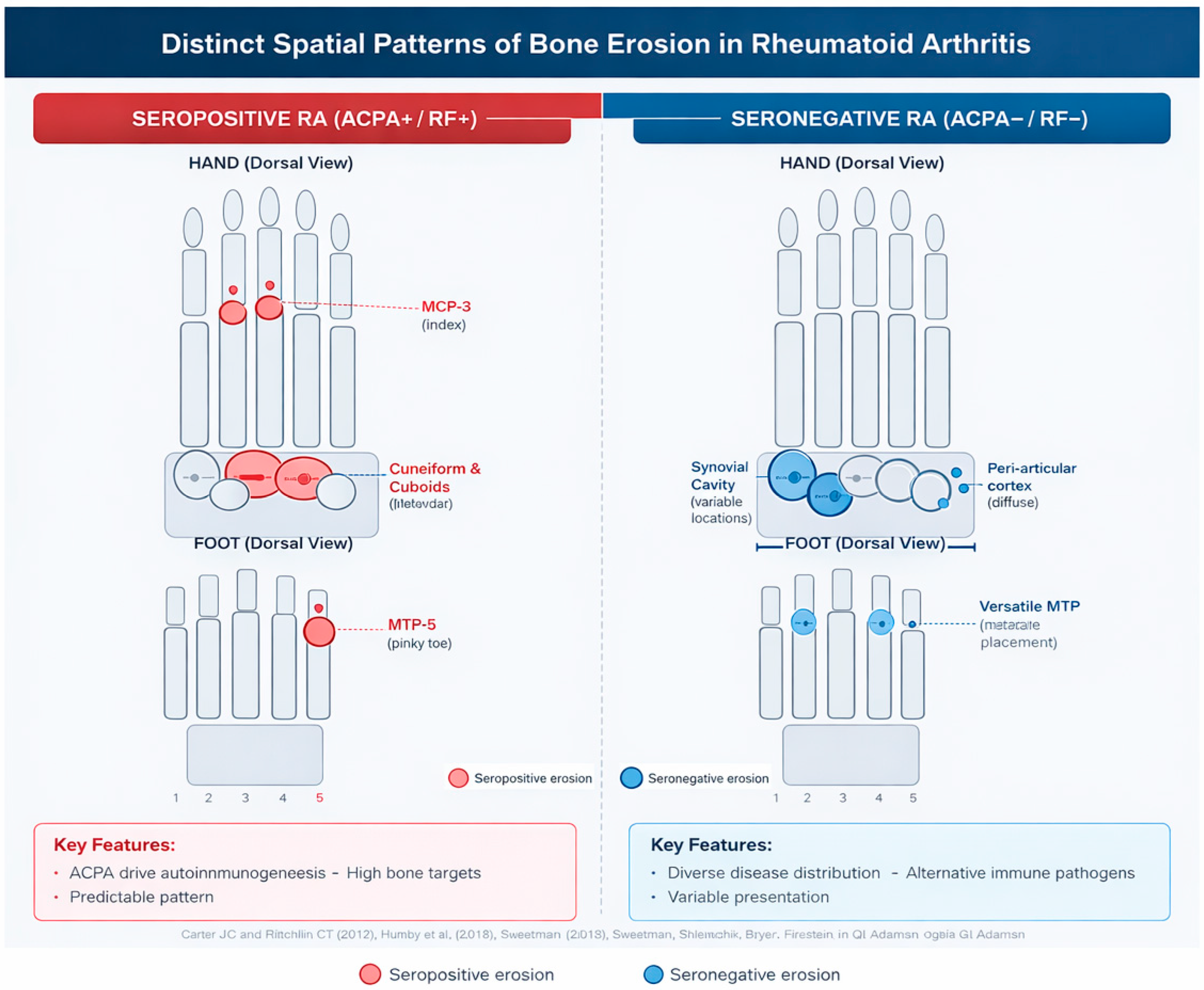Medsci 14 00014 g003 Medsci 14 00014 g003