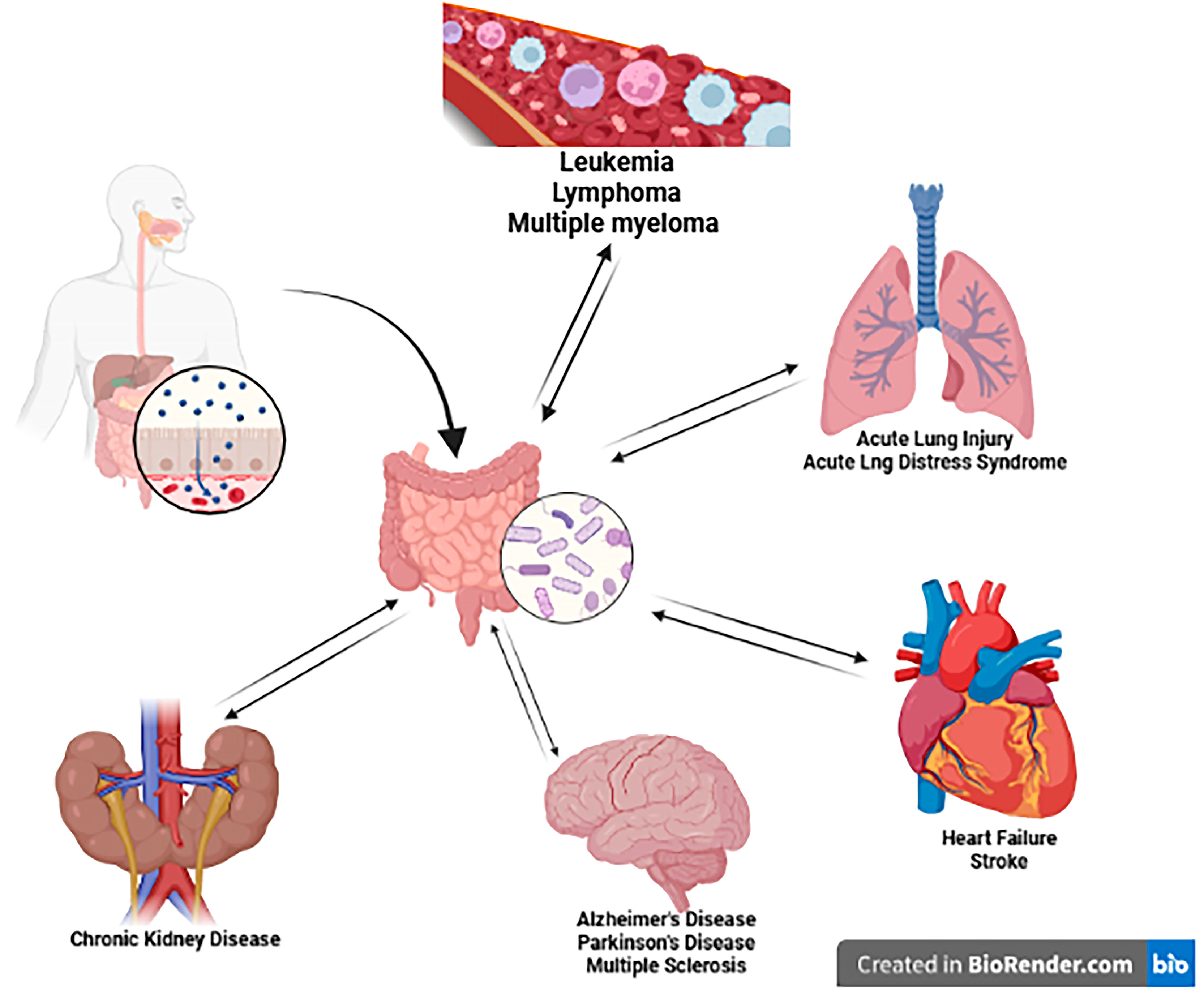 Medsci 14 00022 g001