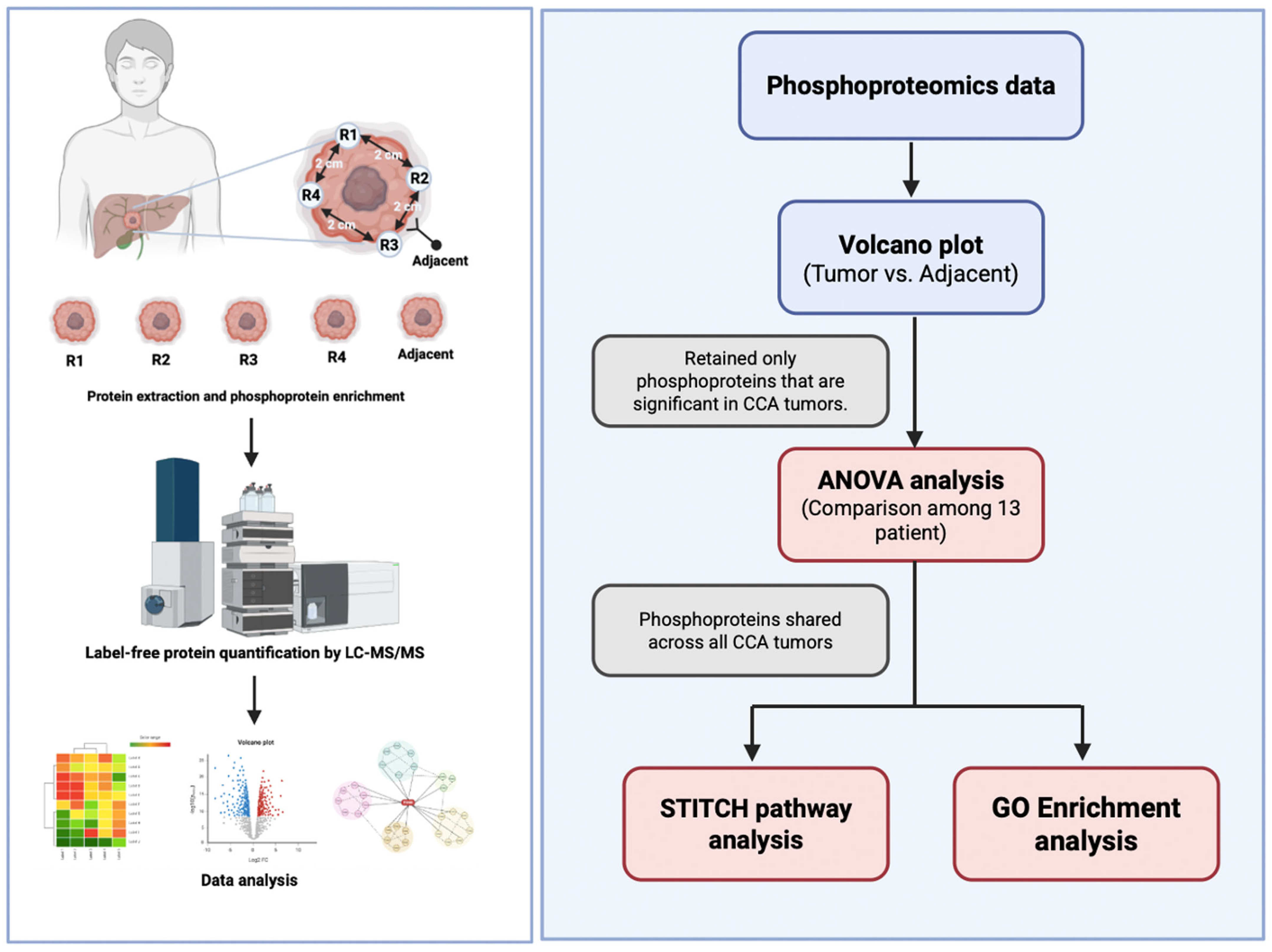 Medsci 14 00063 g001 Medsci 14 00063 g001