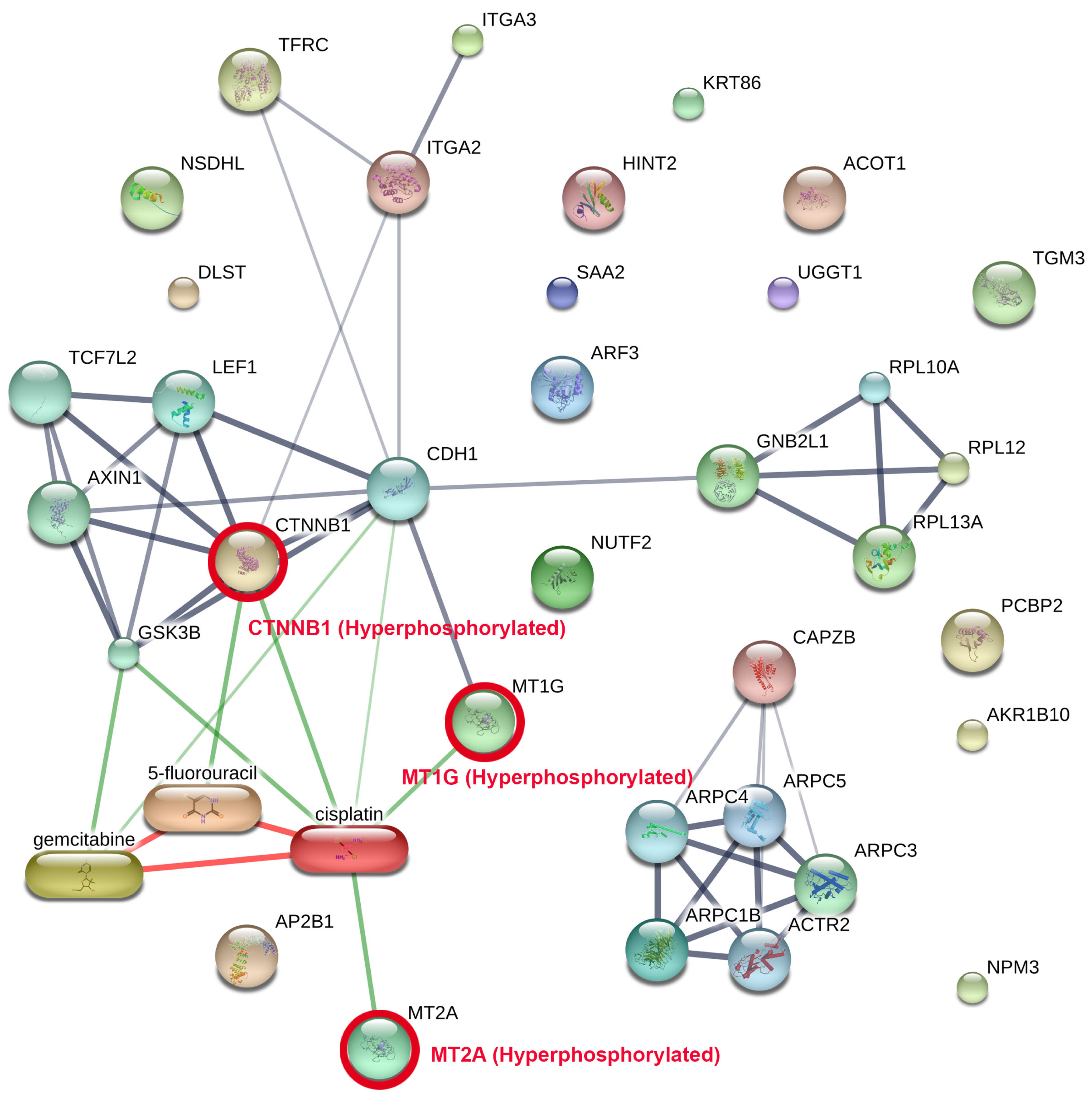 Medsci 14 00063 g004 Medsci 14 00063 g004