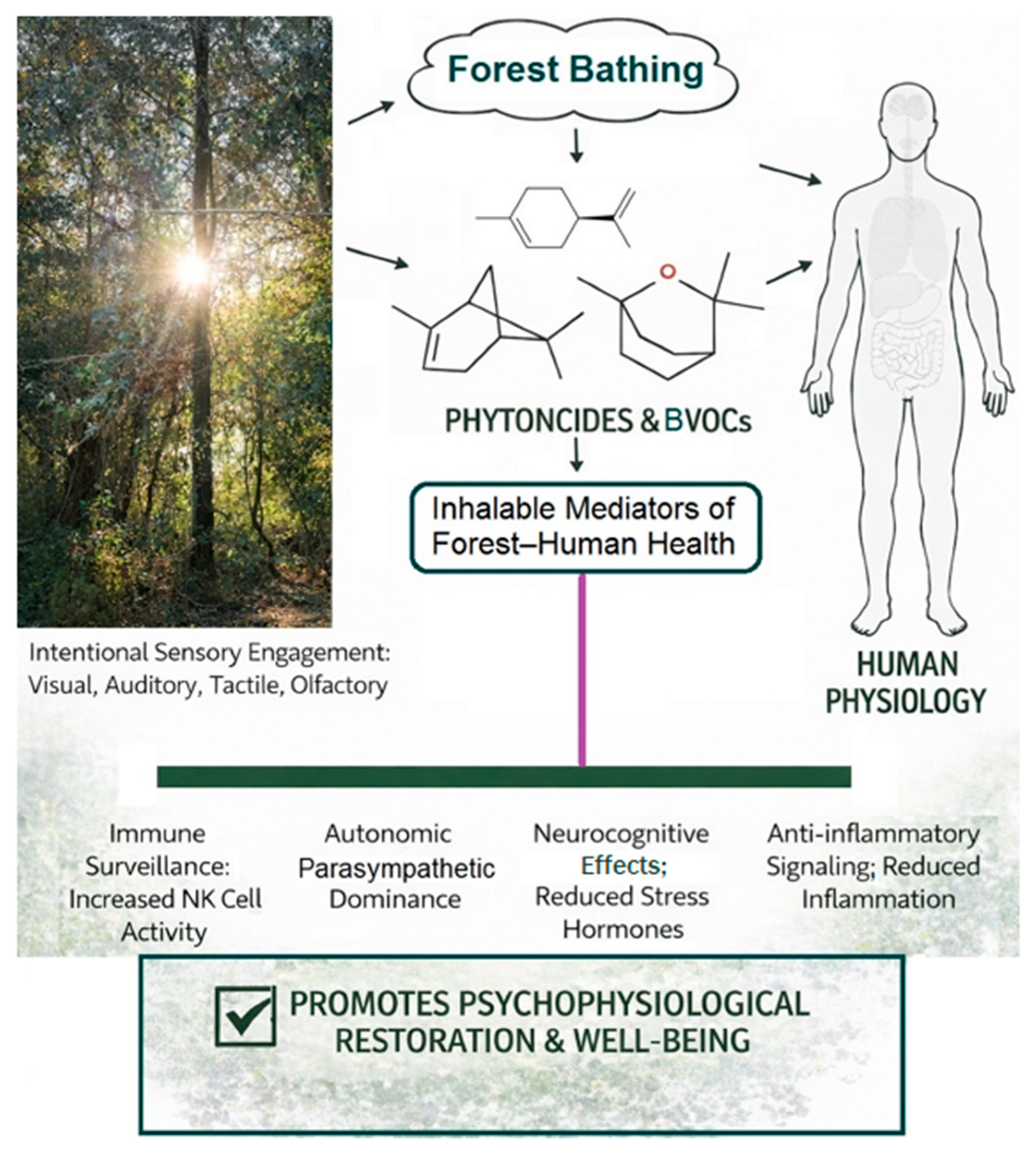 Medsci 14 00095 sch001
