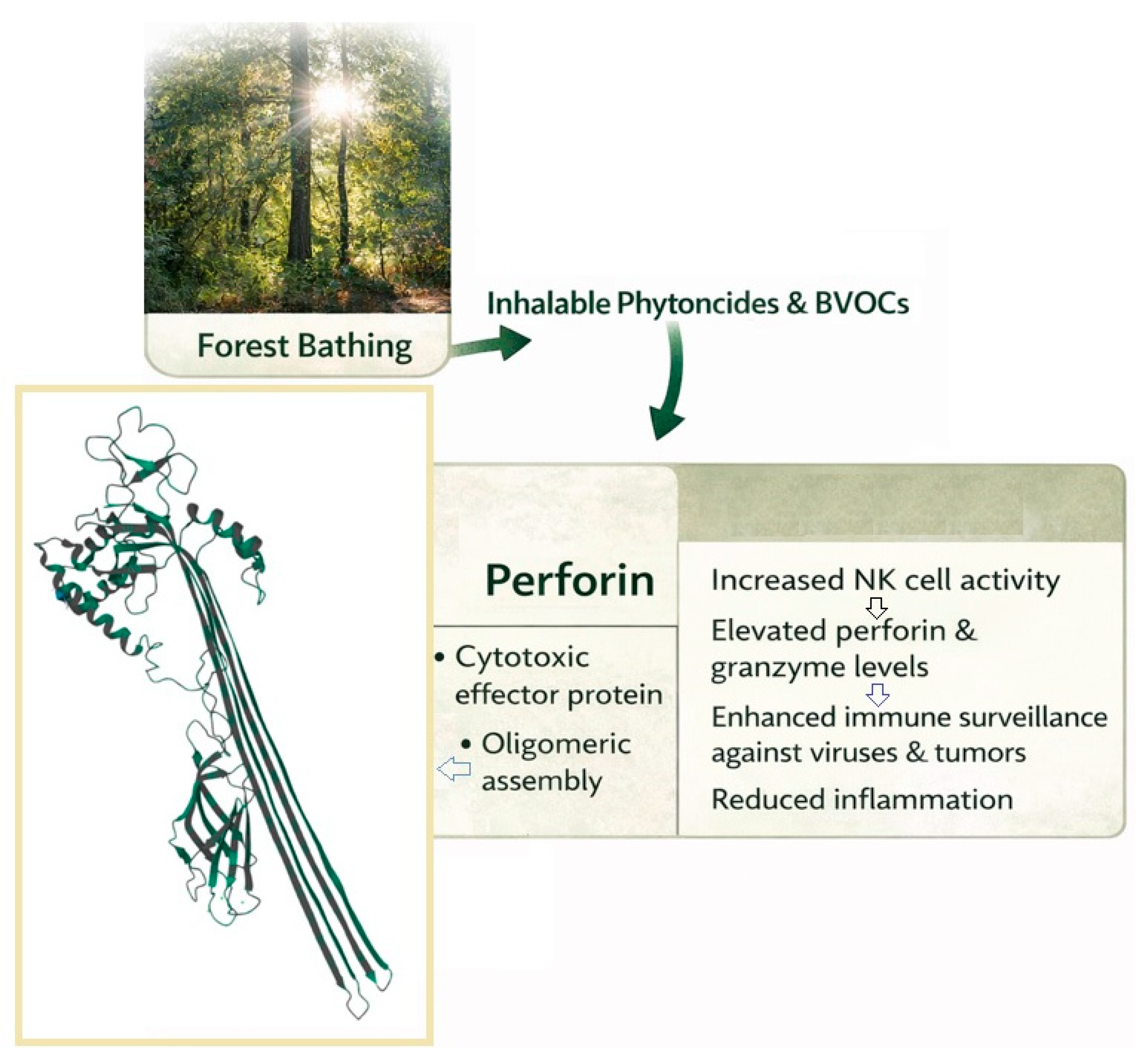 Medsci 14 00095 sch002