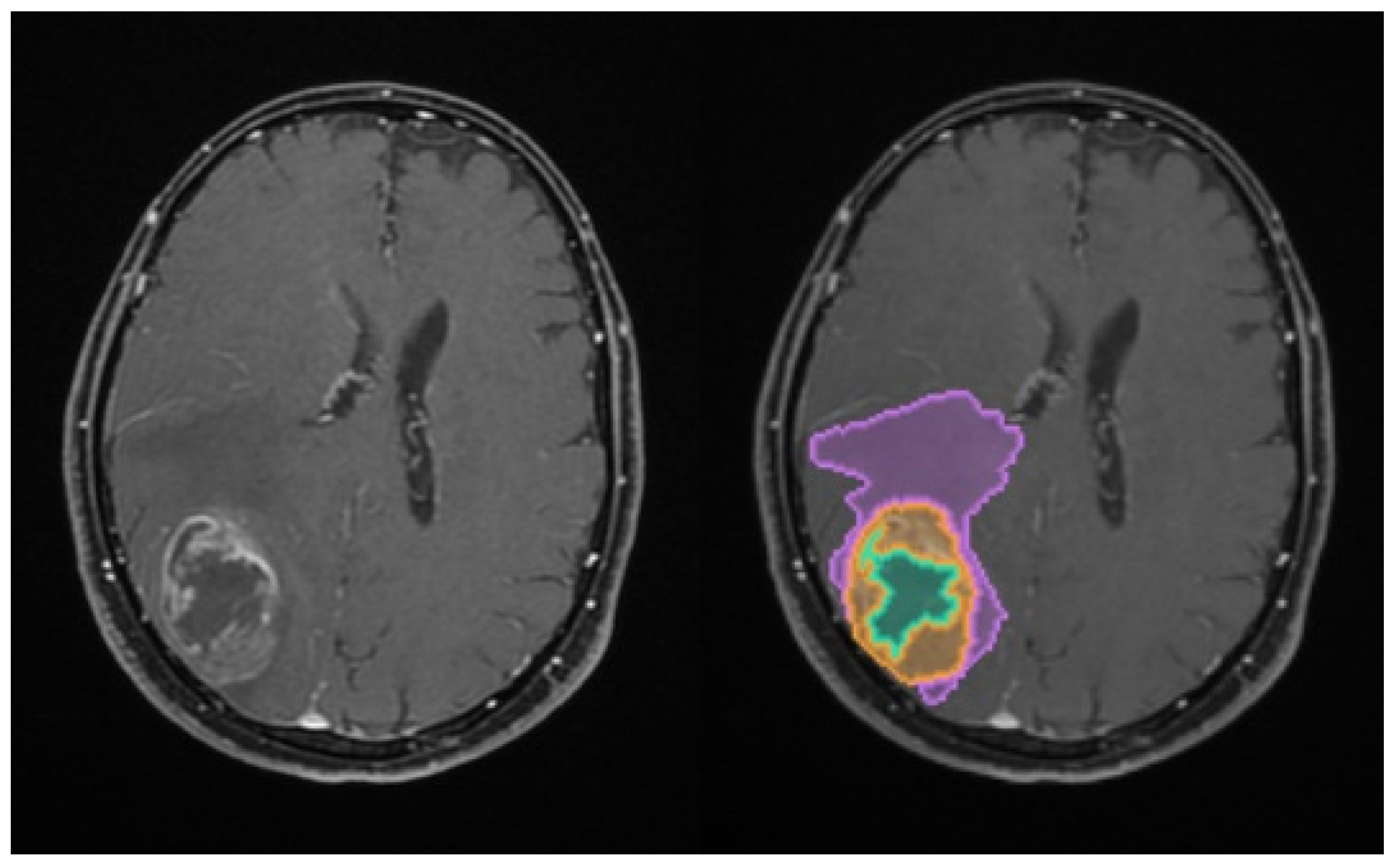 Medsci 14 00119 g001 Medsci 14 00119 g001