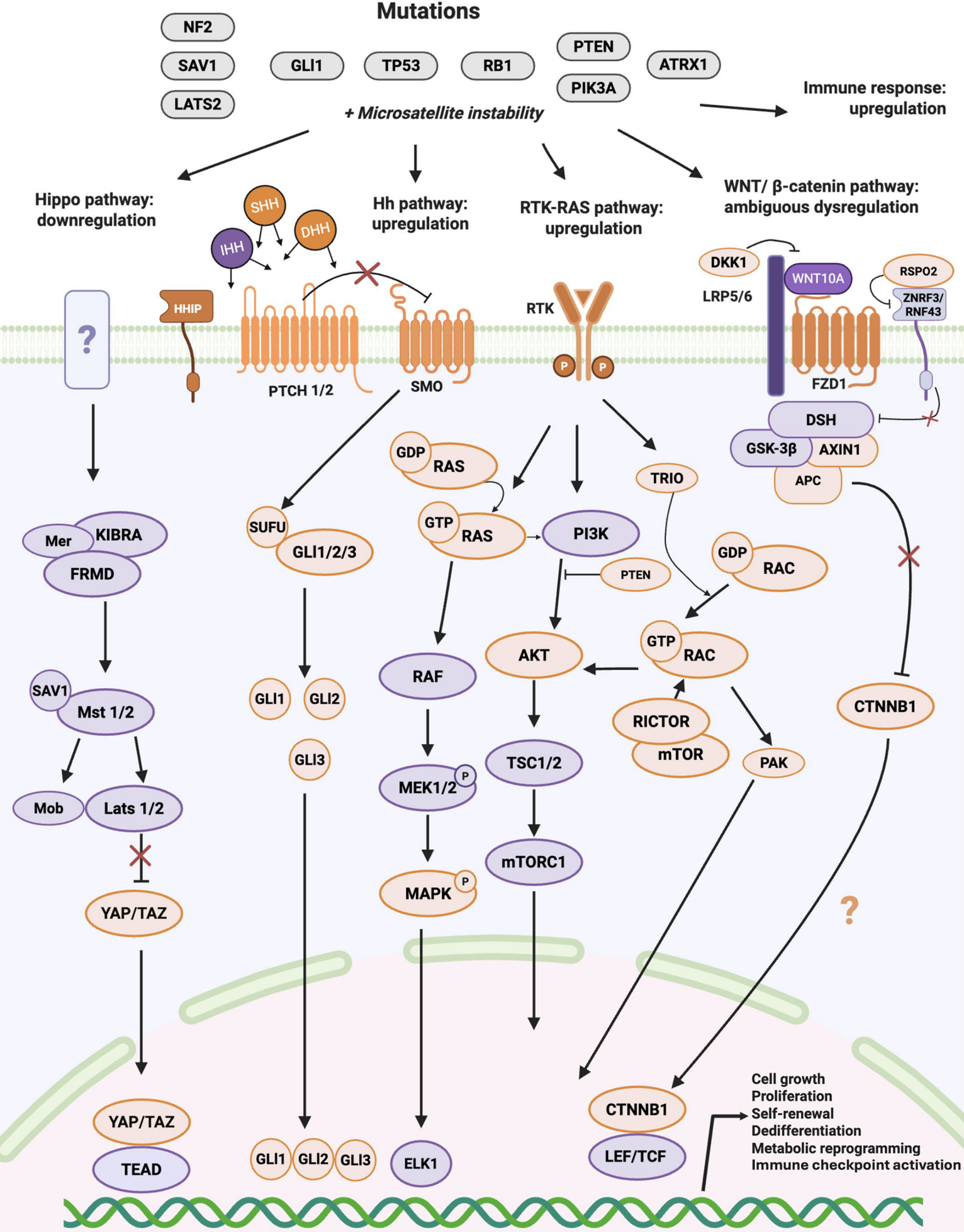 Medsci 14 00585 g001 Medsci 14 00585 g001