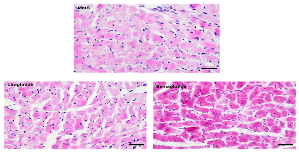 Medsci 14 00590 g012 Medsci 14 00590 g012