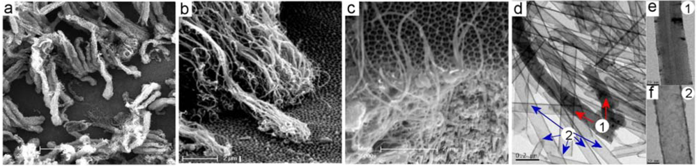 Membranes 01 00037f4 1024