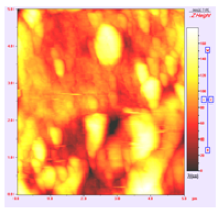 Membranes 01 00091t7