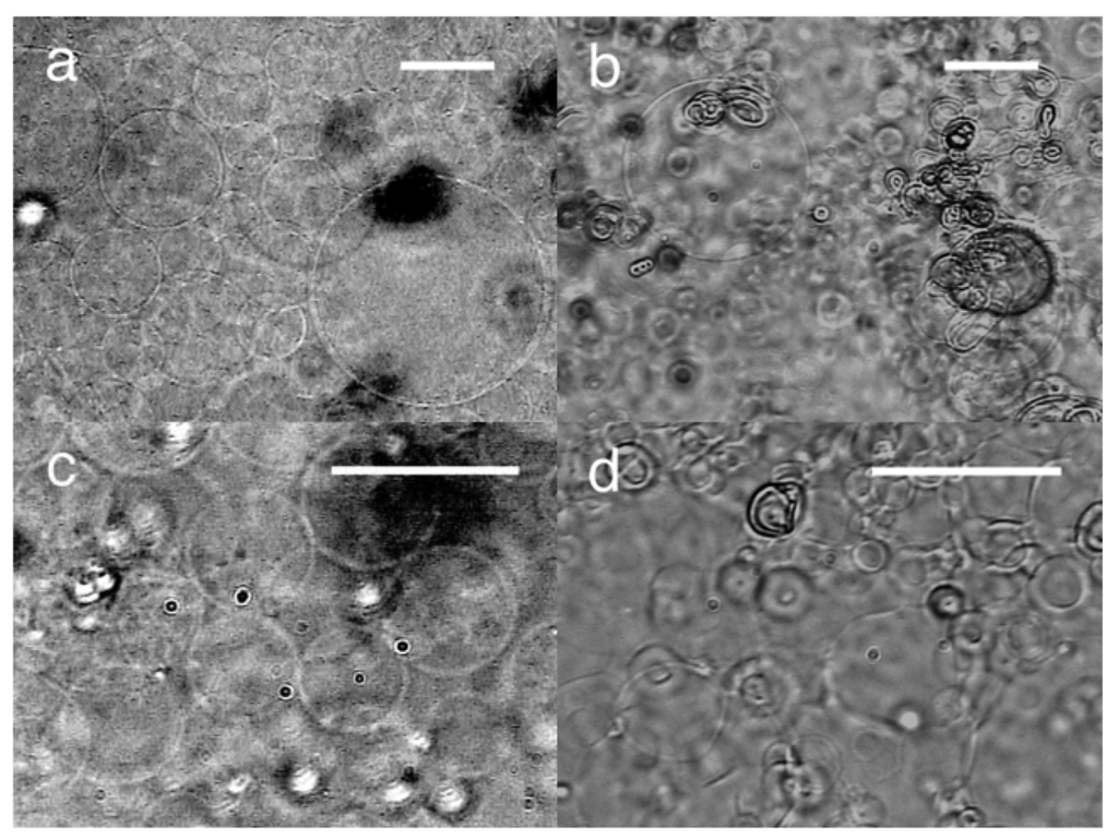 Membranes 01 00109f3 1024