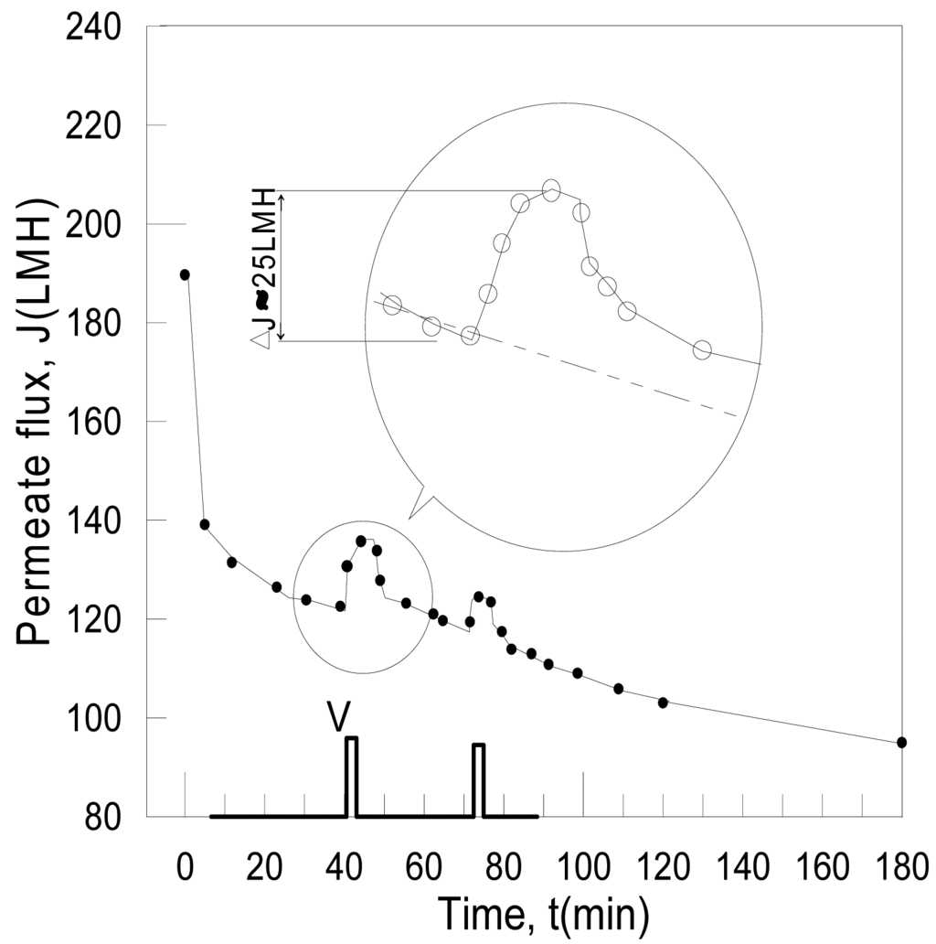 Membranes 01 00119f6 1024