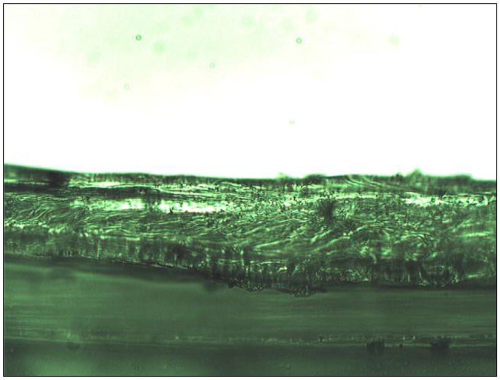 Membranes 01 00132f2 1024