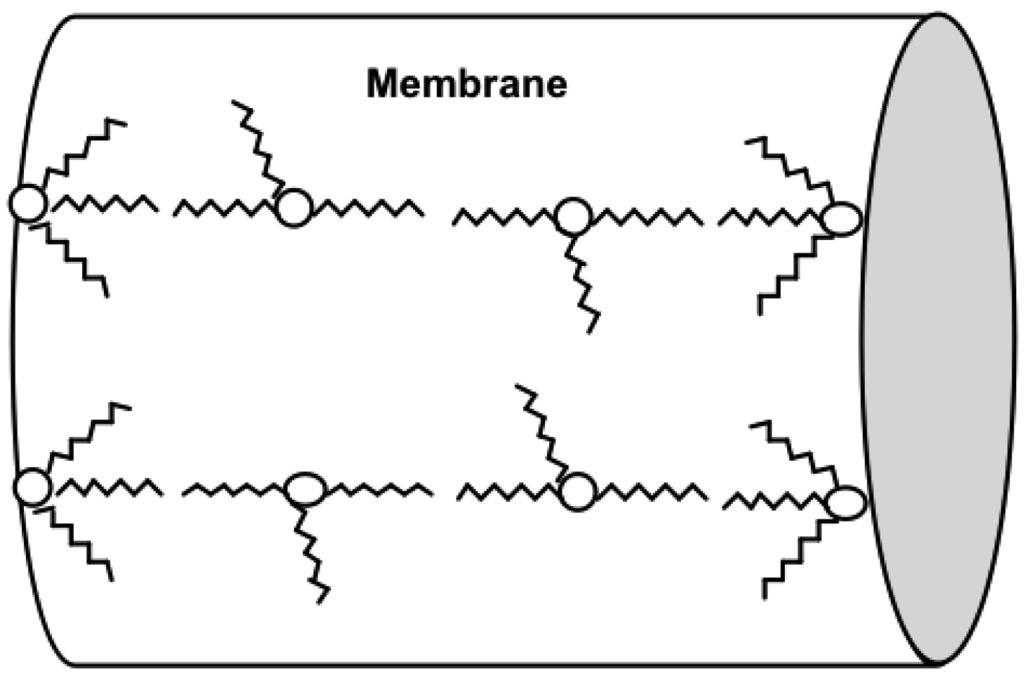Membranes 01 00132f3 1024