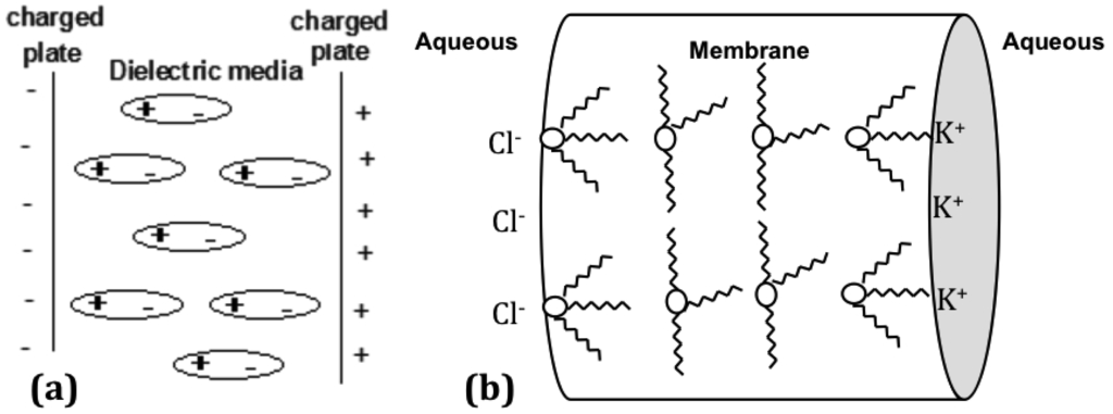 Membranes 01 00132f4 1024