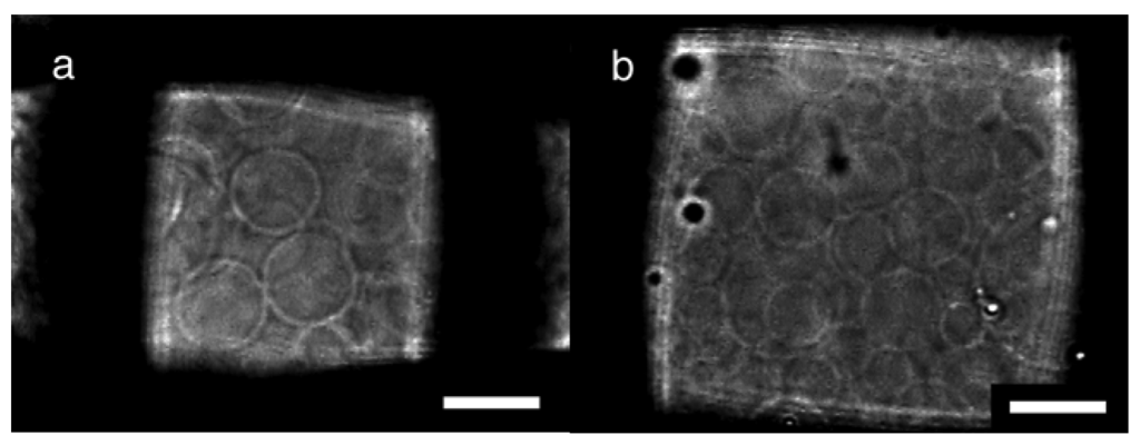 Membranes 01 00184f3 1024
