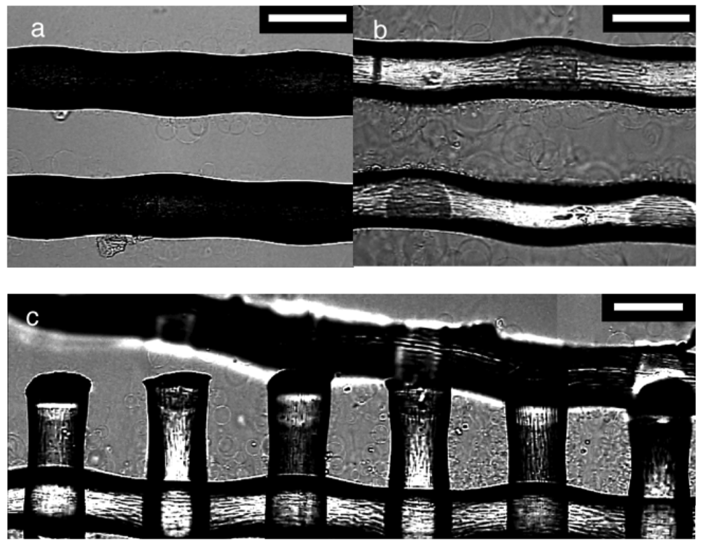Membranes 01 00184f4 1024
